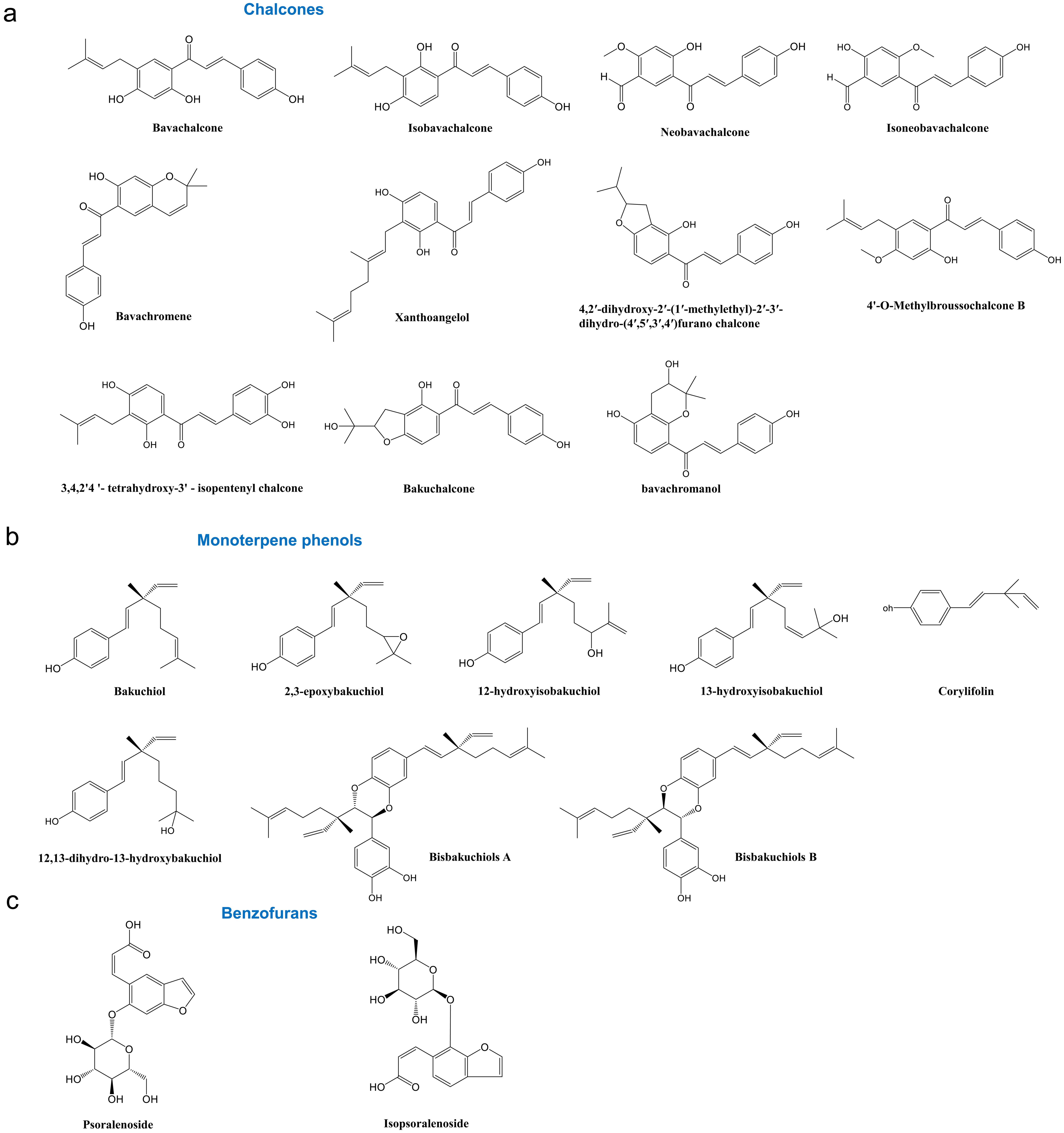 Chemical structures of chalcones (a), monoterpene phenols (b) and benzofurans (c) isolated from <italic>Psoralea corylifolia</italic> L.