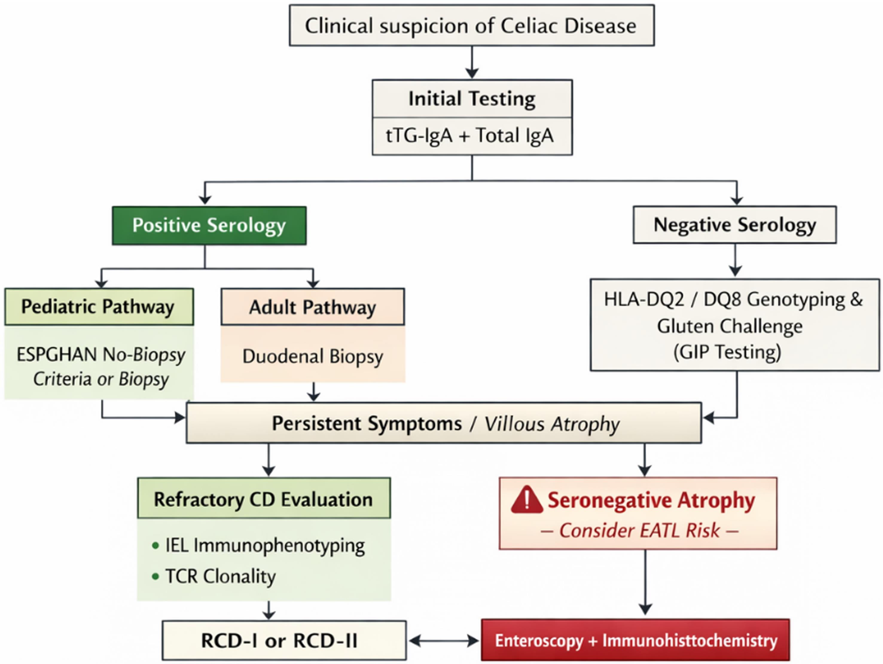 Age-stratified CD diagnostic algorithm with EATL warning signal.