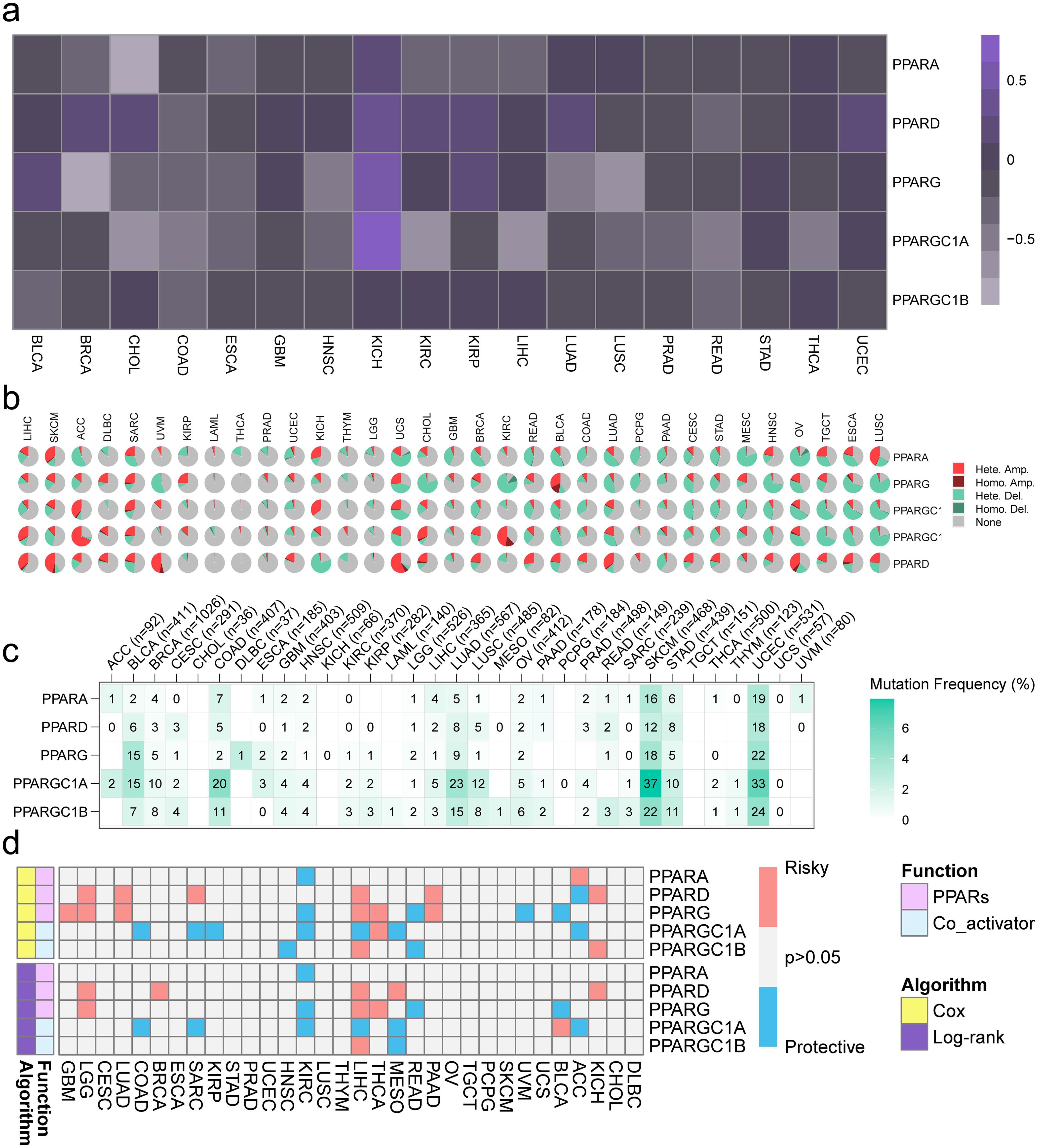 Characteristics of different types of Peroxisome proliferator-activated receptors (PPAR) in pan-cancer.