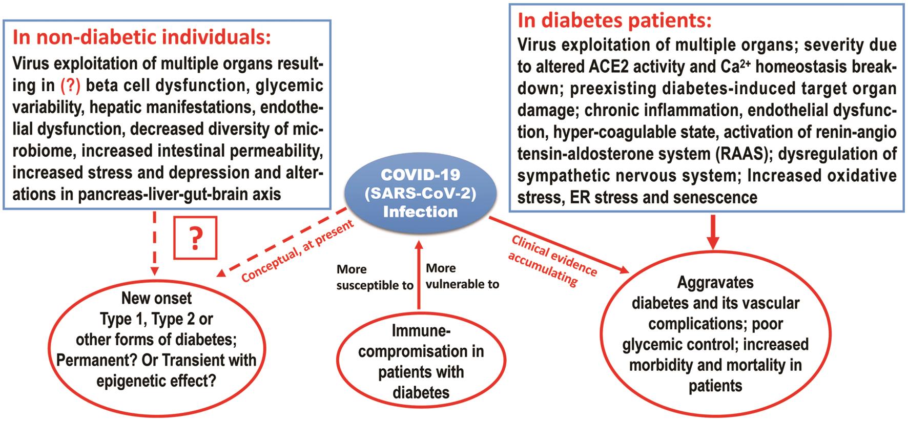 The two-way relationship between COVID-19 and diabetes.