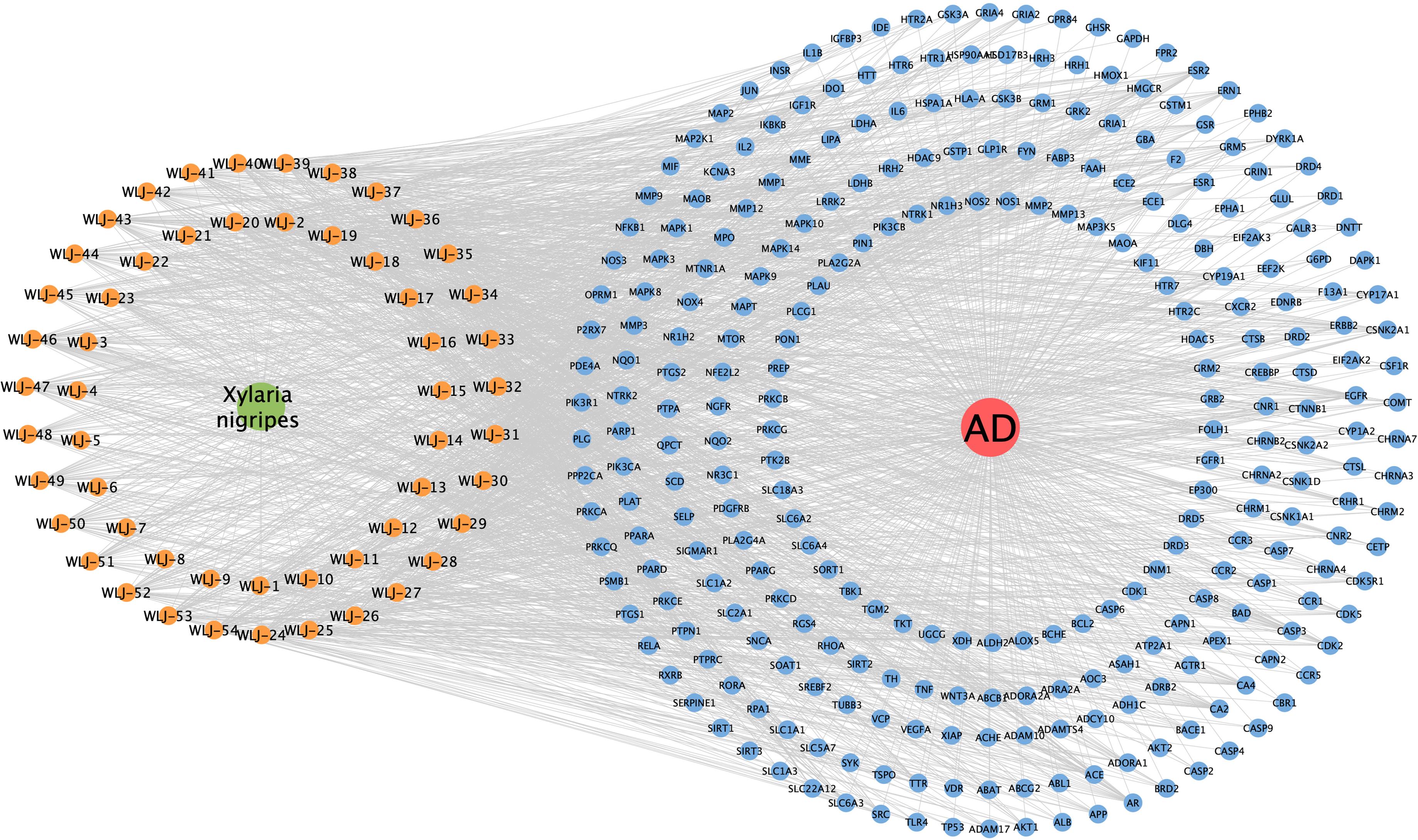 The drug-ingredient-target-disease network.