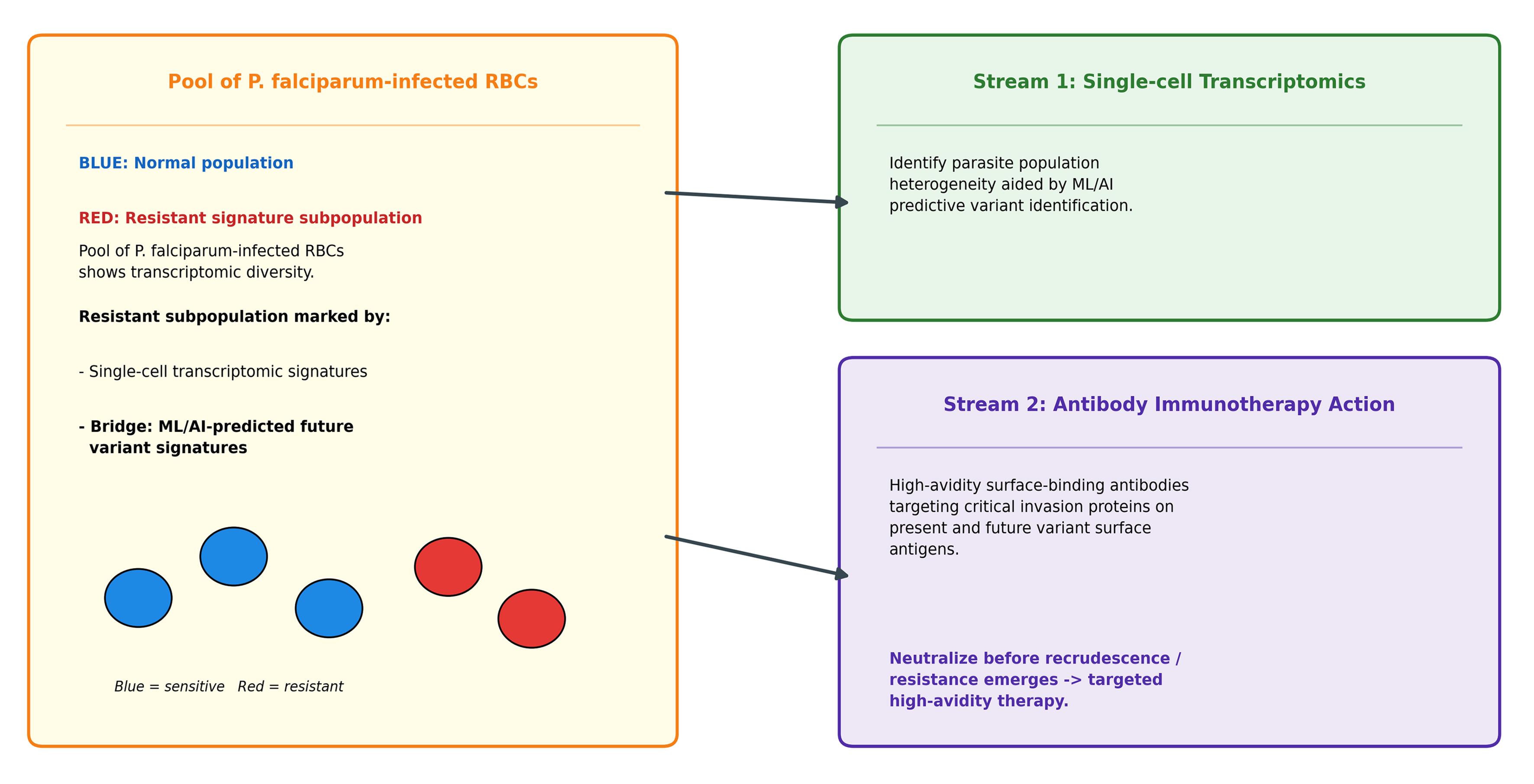 Mechanistic synergistic streams of ML/AI variants predictive power-aided single cell transcriptomics and antibody immunotherapy at host-parasite interface to tackle <italic>Plasmodium</italic> drug resistance.