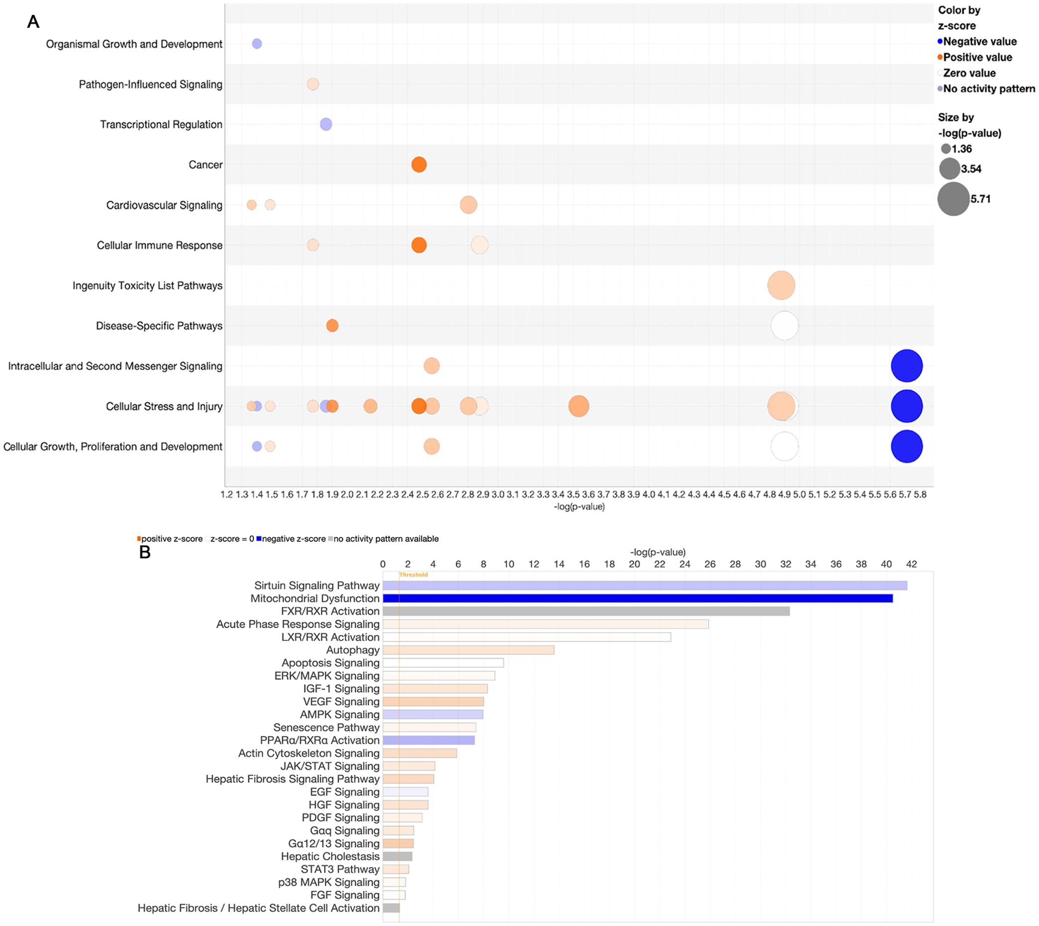 Functional pathway enrichment analysis.