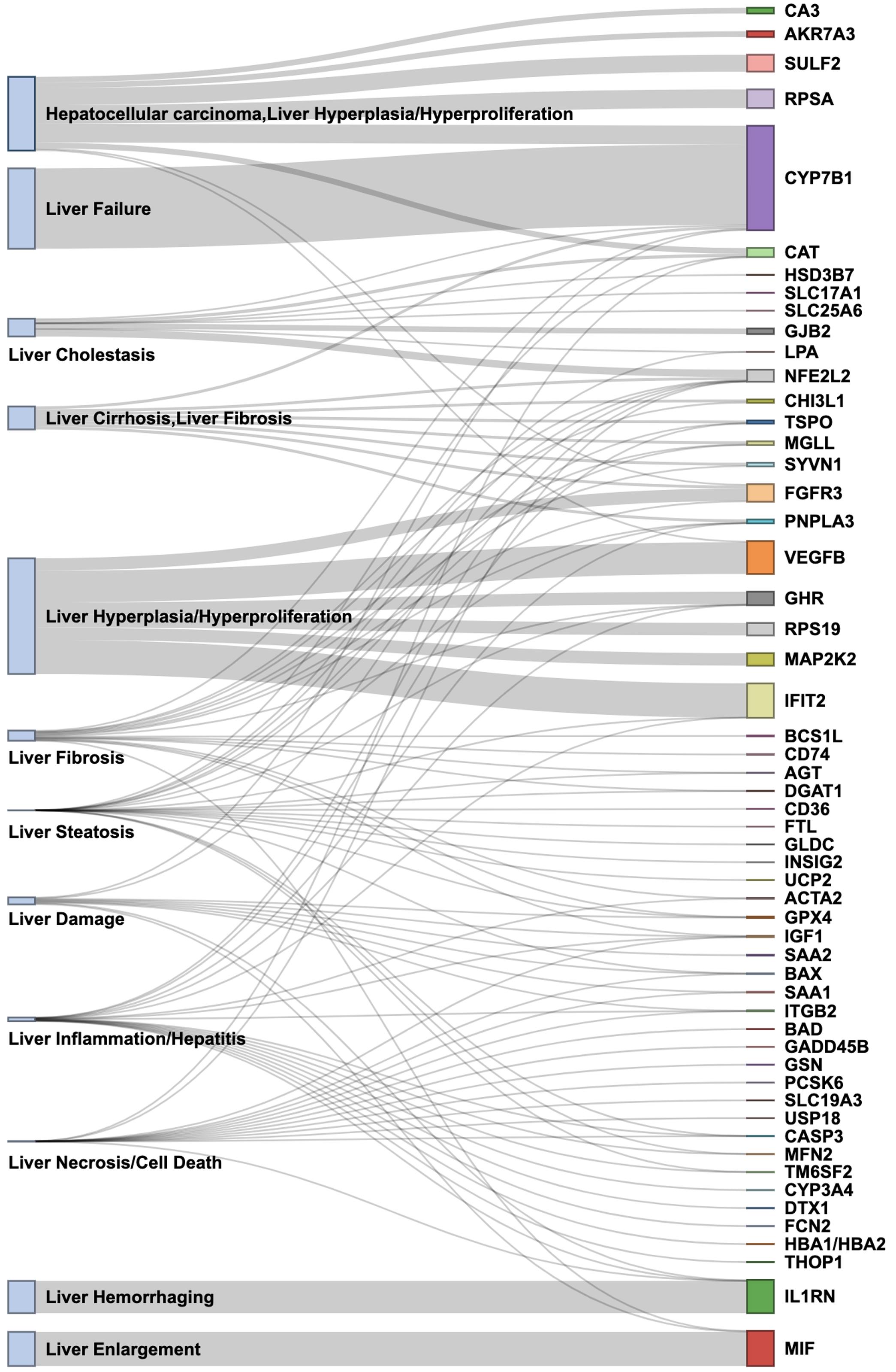 Sankey diagram of functional pathway analysis.