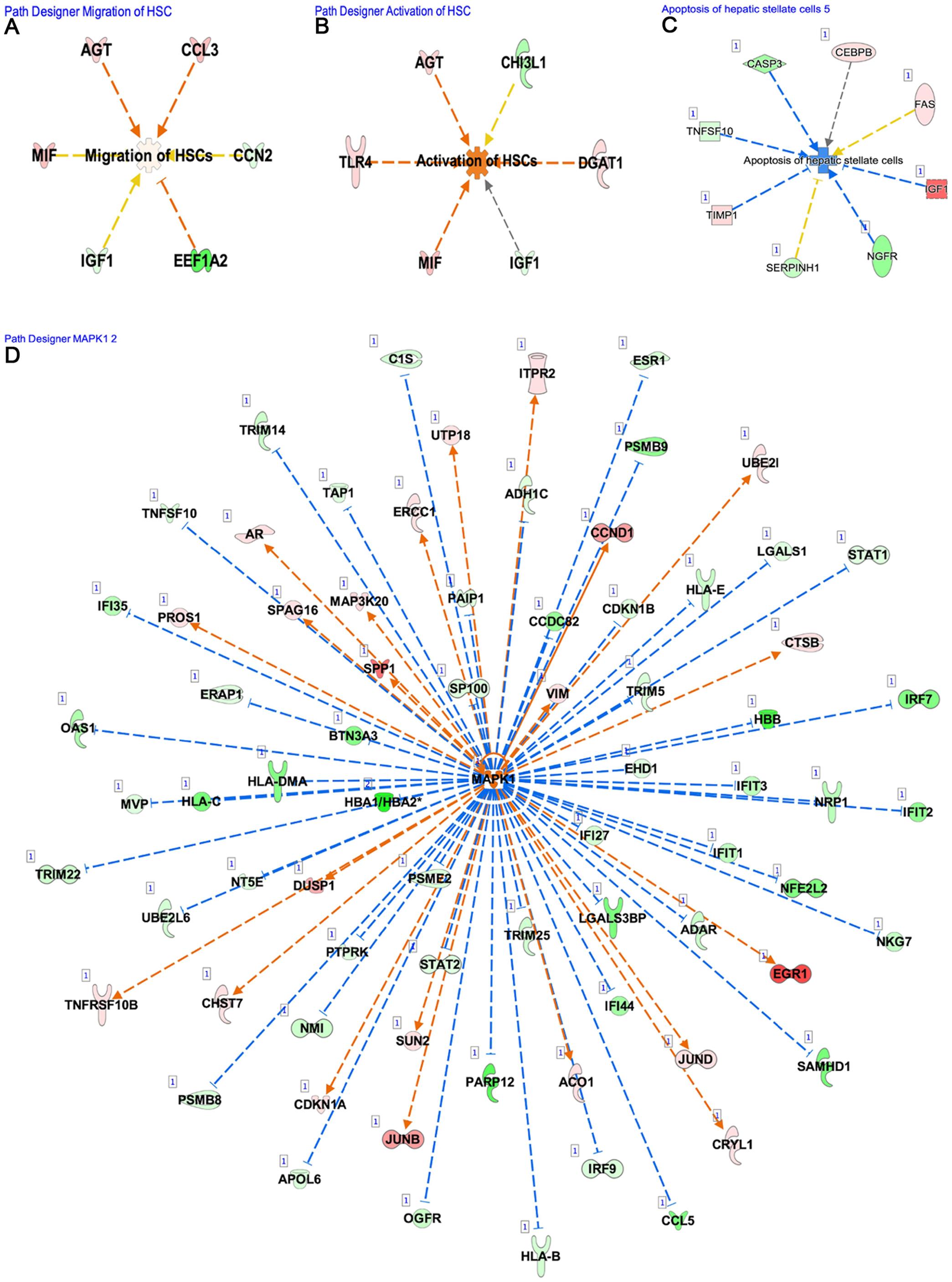 Upstream regulator analysis.