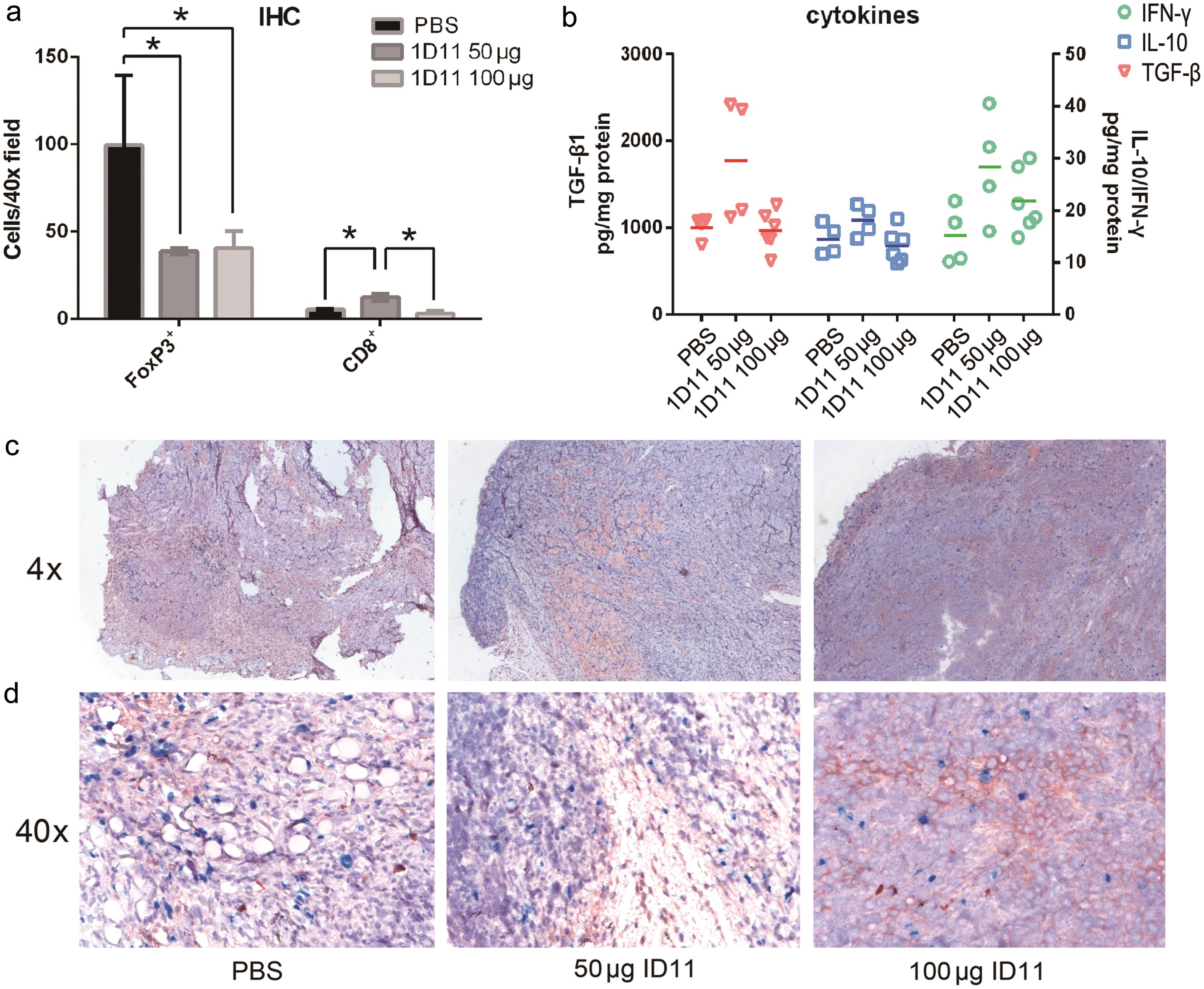 Variations in tumor infiltrating Tregs, Tc and typical cytokines after TGF-β blockade.