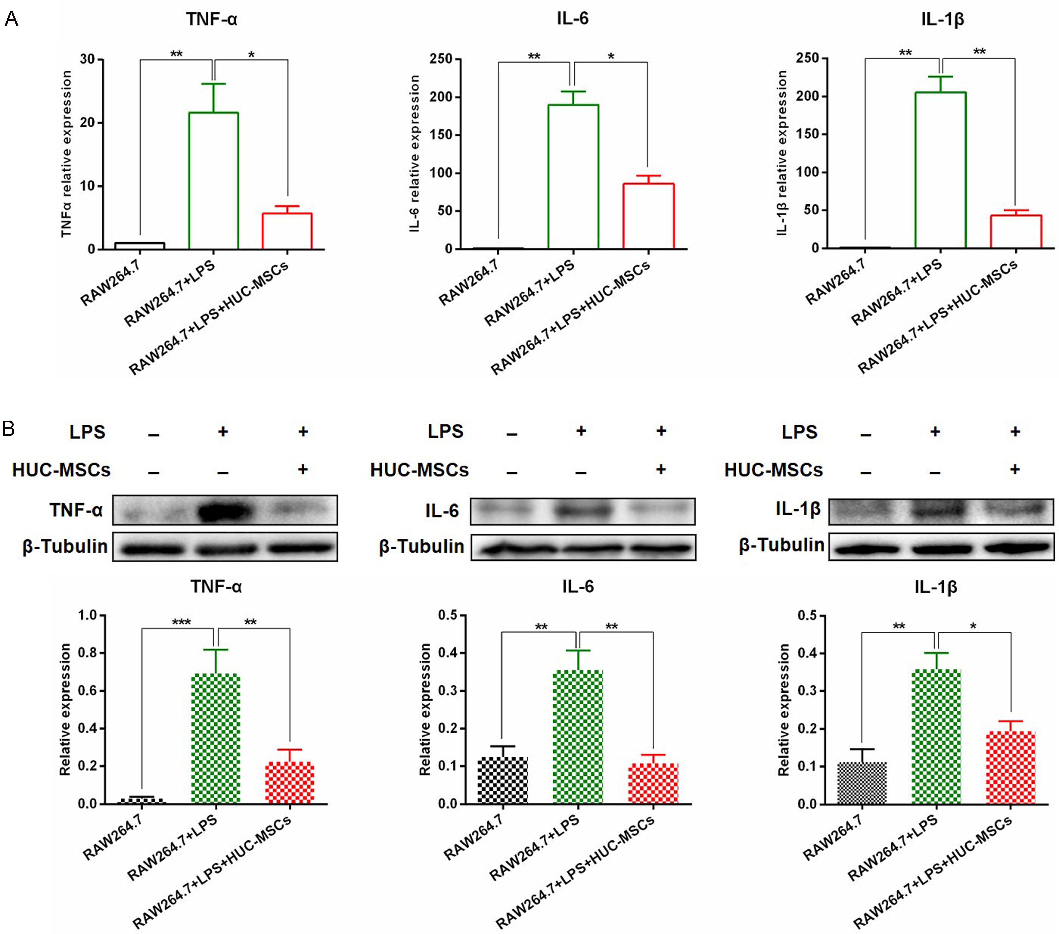The hUC-MSCs co-culture reduced inflammatory cytokine levels in LPS-treated RAW264.7 cells.