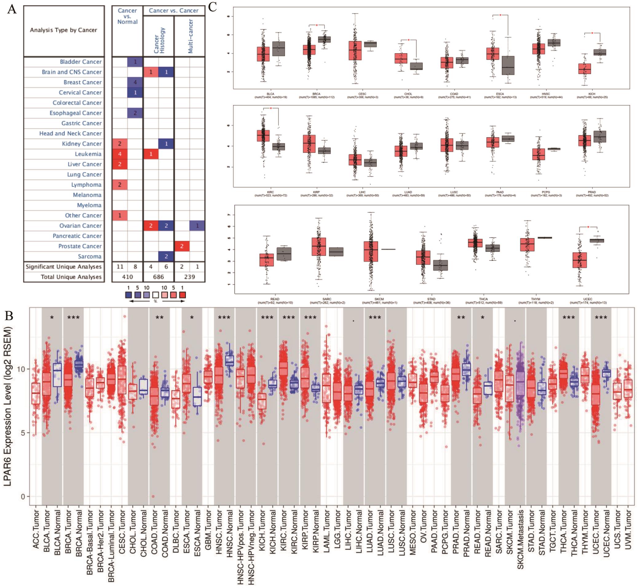 LPAR6 mRNA expression levels in different types of human cancers in different databases.