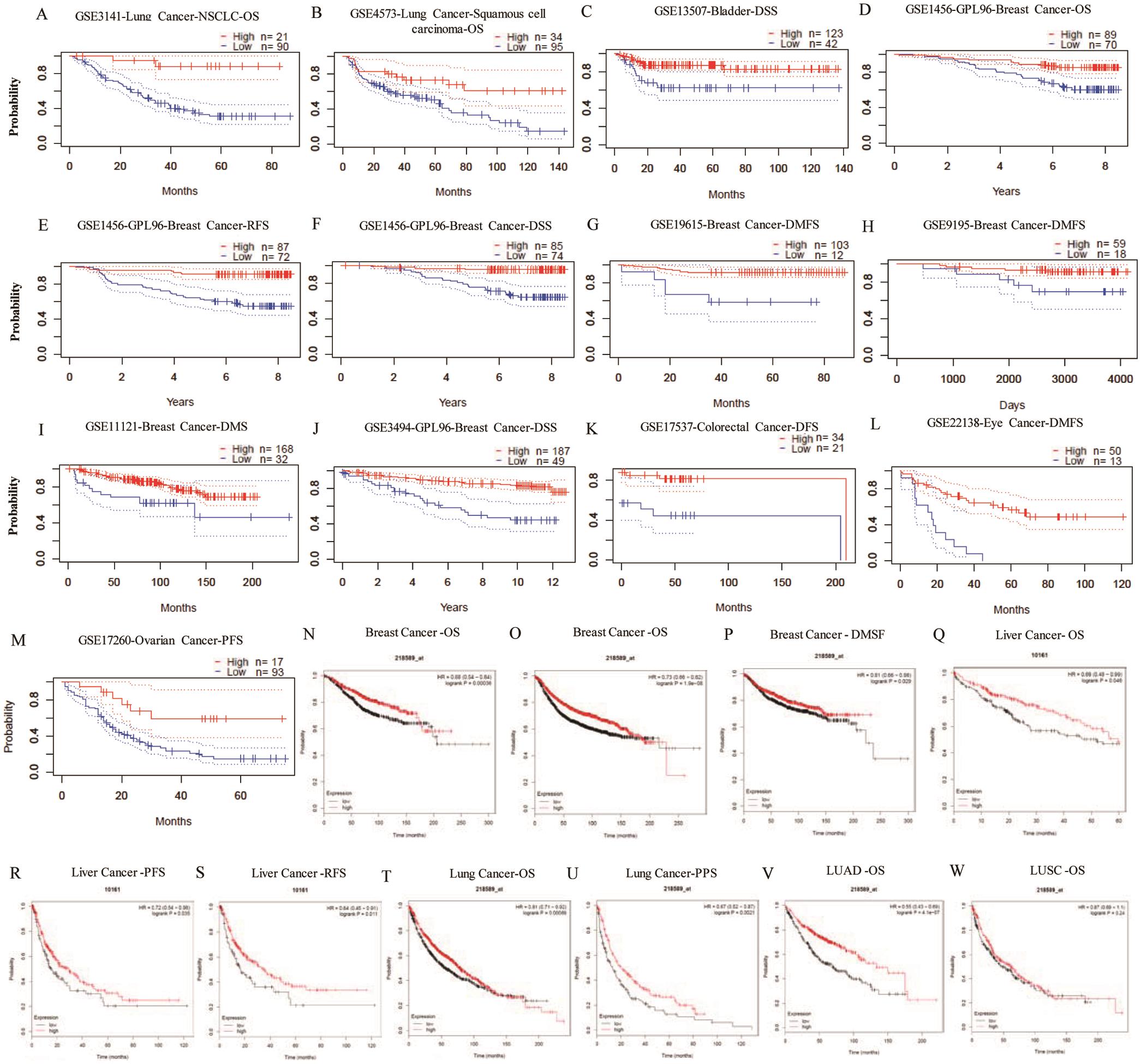 Kaplan-Meier survival curves comparing the high and low expression of <bold>LPAR6</bold> in different types of cancer in the PrognoScan (A–M) and Kaplan-Meier Plotter databases (N–W).