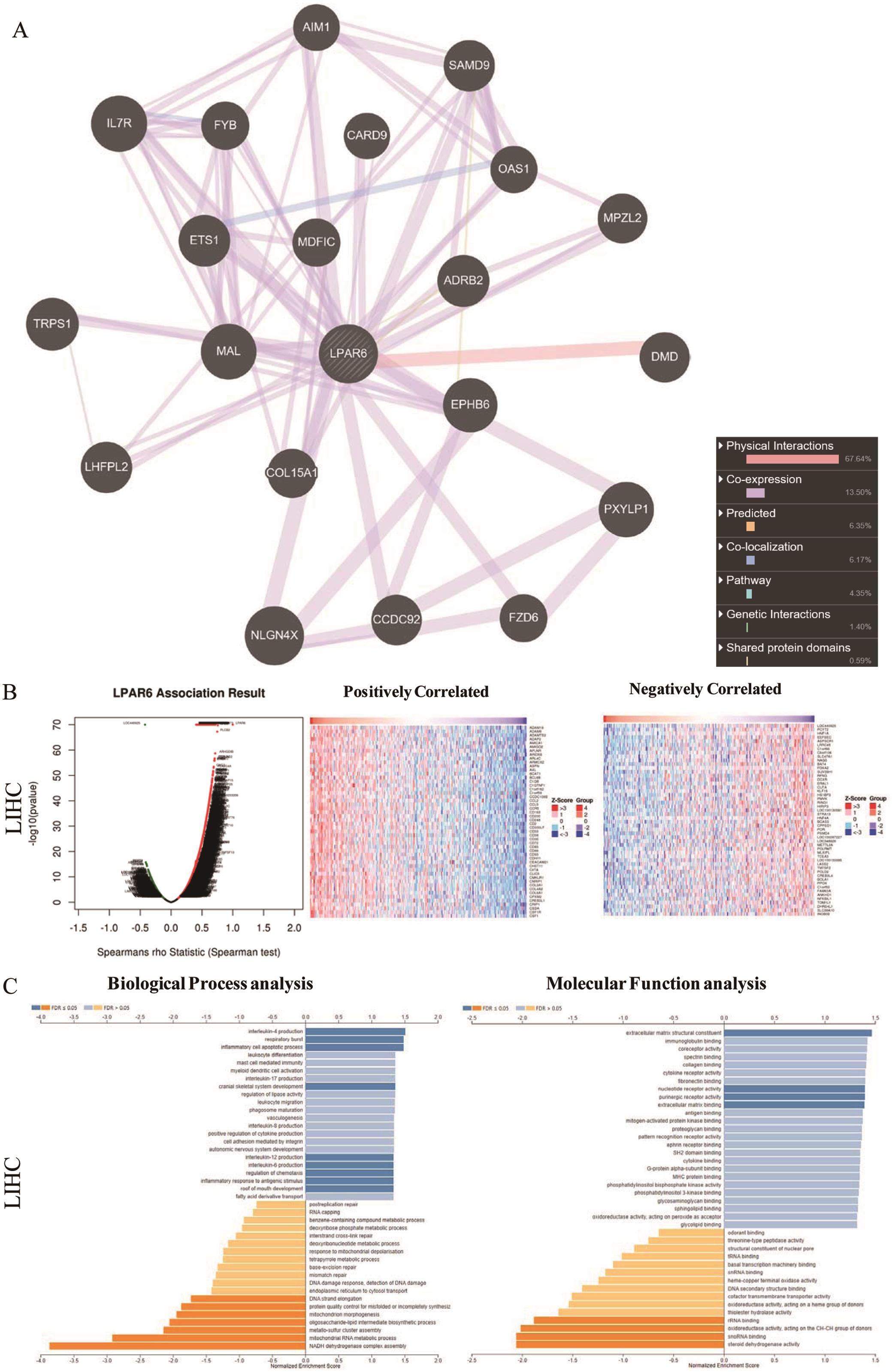 Biological interaction network and enriched gene ontology annotations of LPAR6 correlated genes in LIHC.