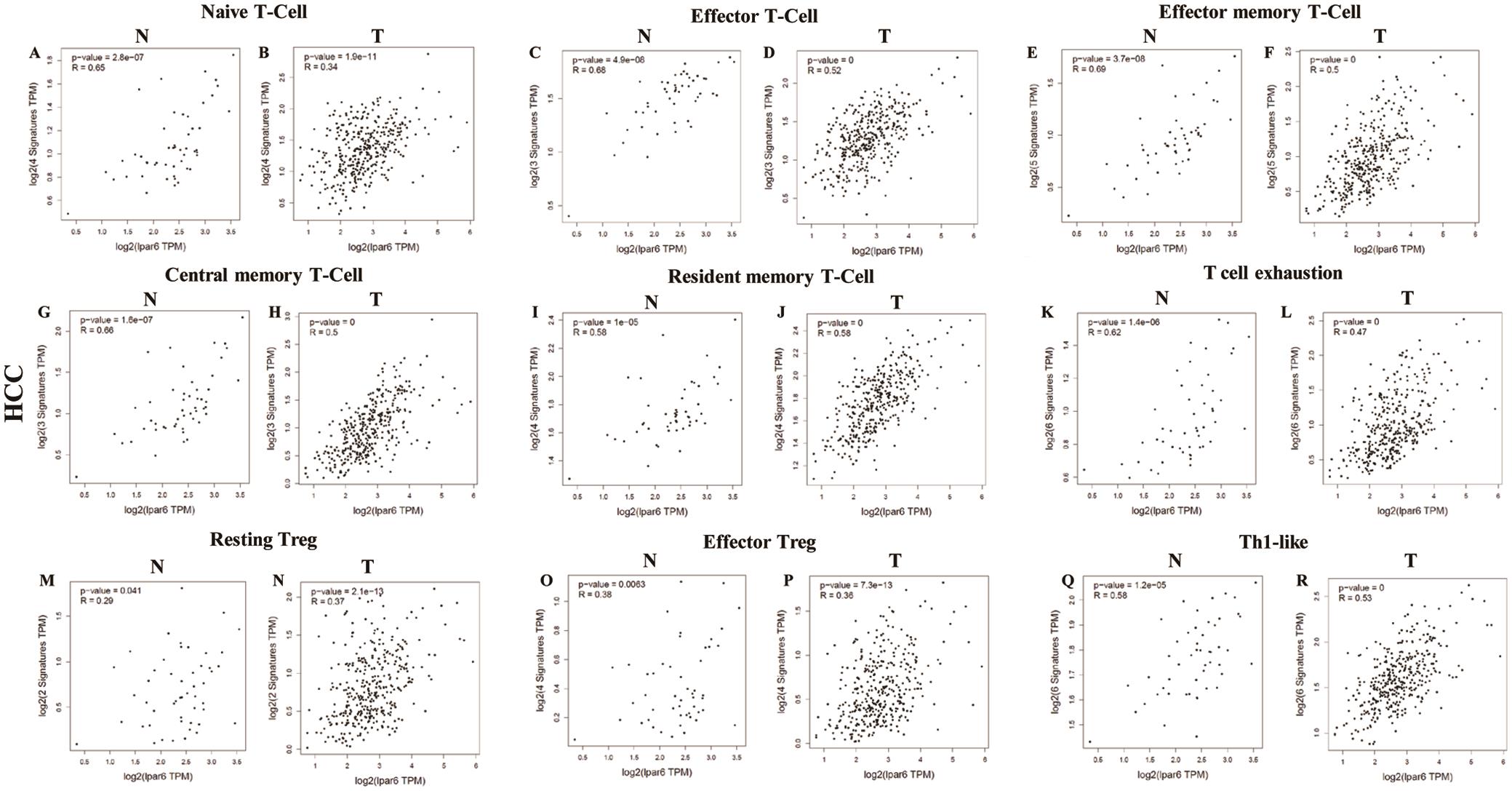Correlation analysis between LPAR6 expression and various immune cells in normal and tumor tissue of HCC.