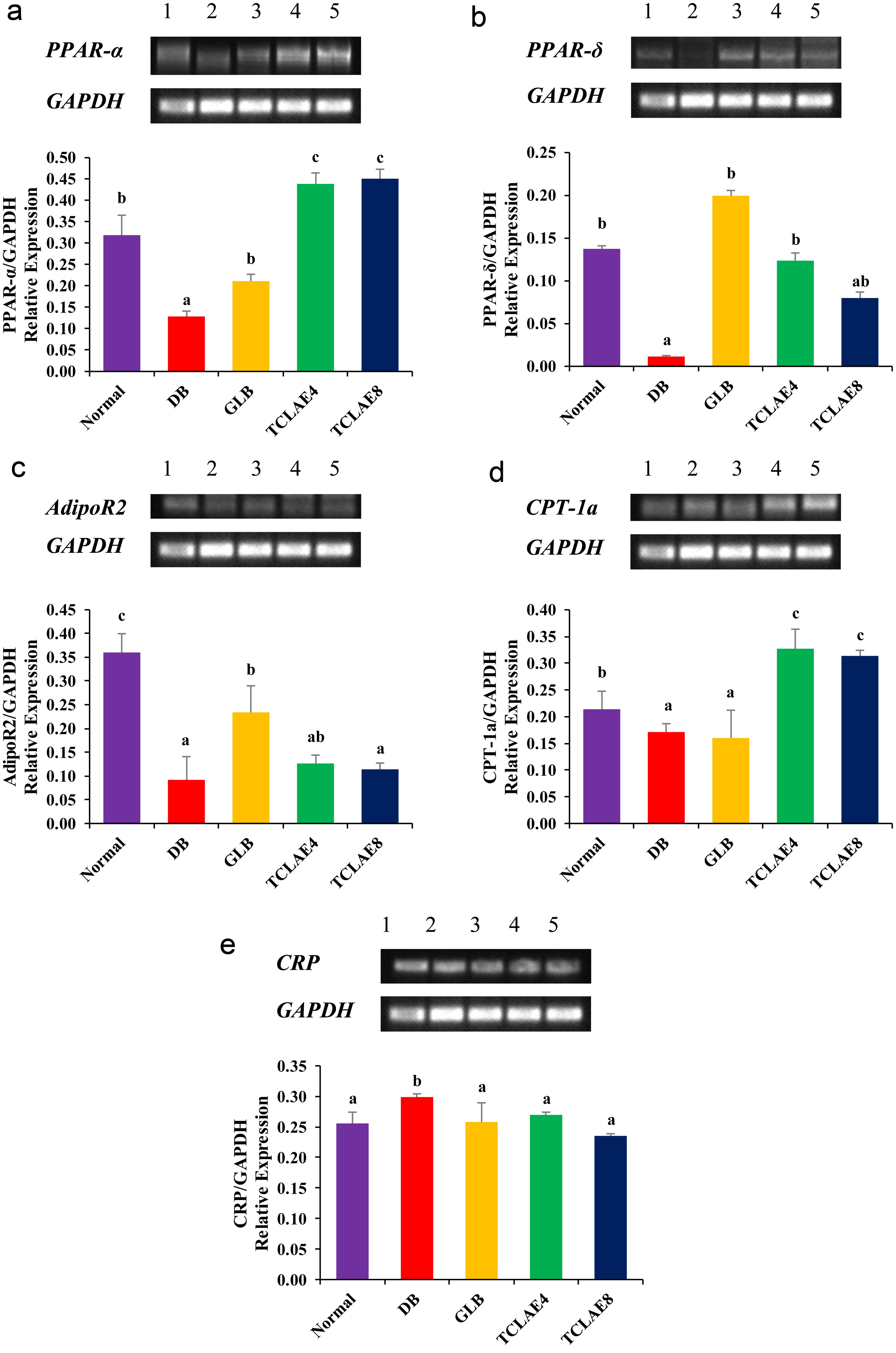 Effect of TCLAE treatment on the hepatic expression of (a) <italic>PPAR-α</italic>, (b) <italic>PPAR-δ</italic>, (c) <italic>AdipoR2</italic>, (d) <italic>CPT-1a</italic>, and (e) <italic>CRP</italic> genes in T2DM rats.