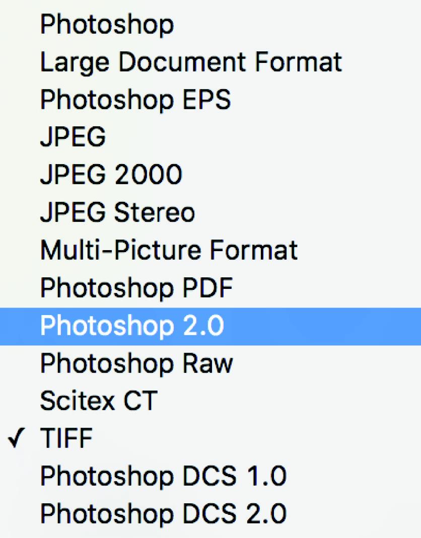 Photoshop 保存命令中备选图片格式