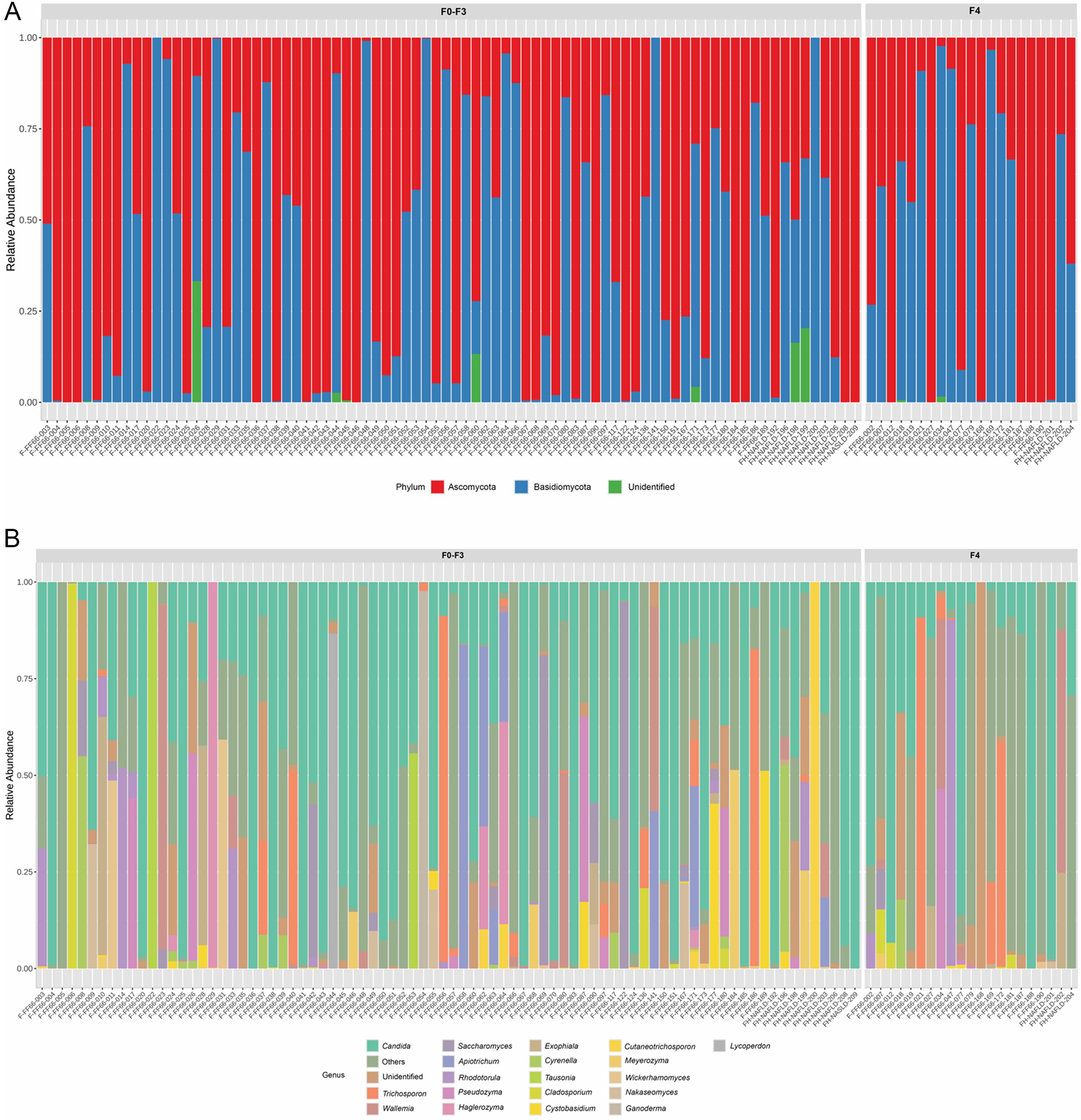 Relative abundance of gut mycobiome in the F0-F3 and F4 groups (A) Phylum level, (B) Genus level.
