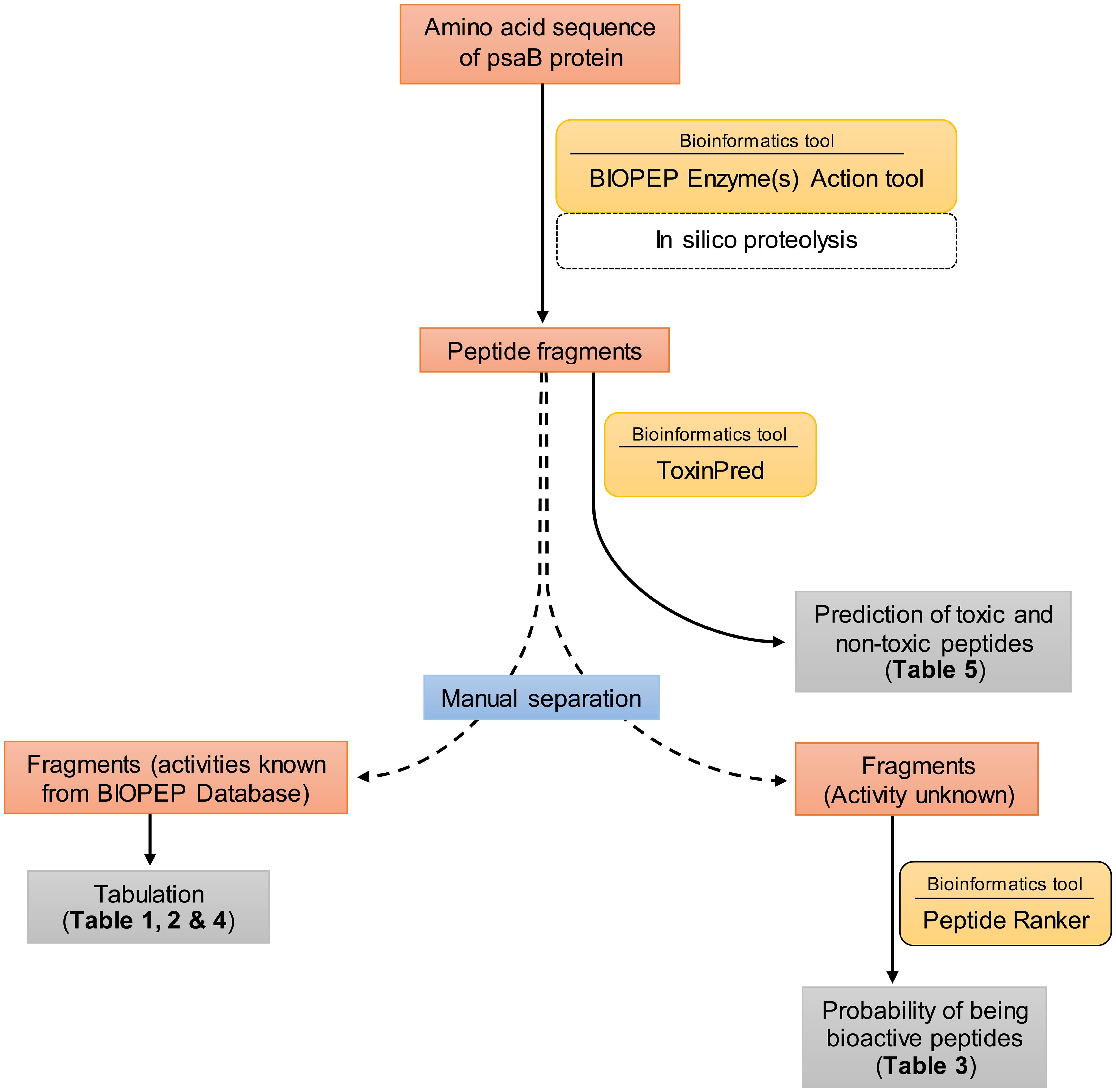 Experimental setup of the study.