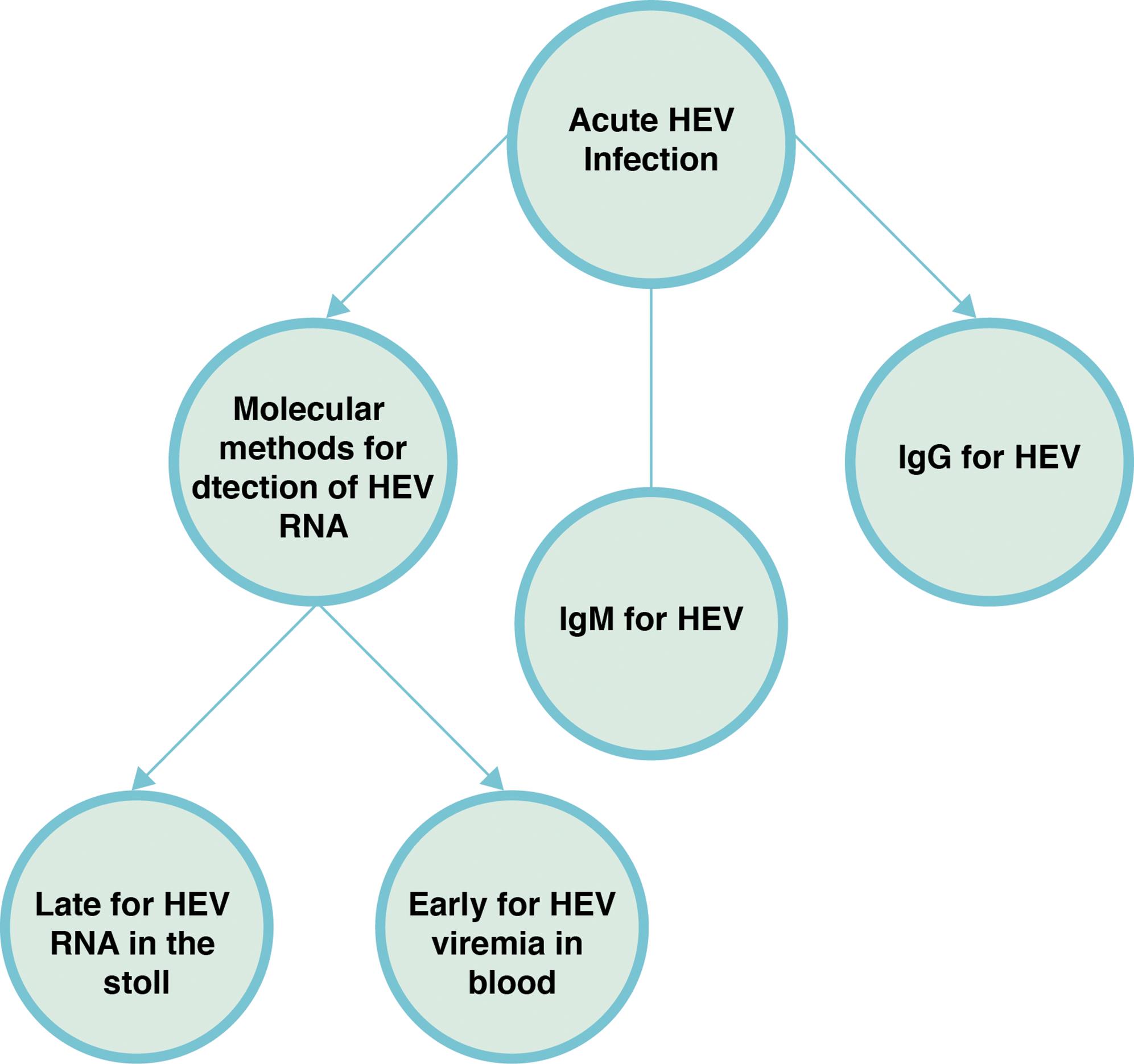 Laboratory diagnosis of hepatitis E virus infection.