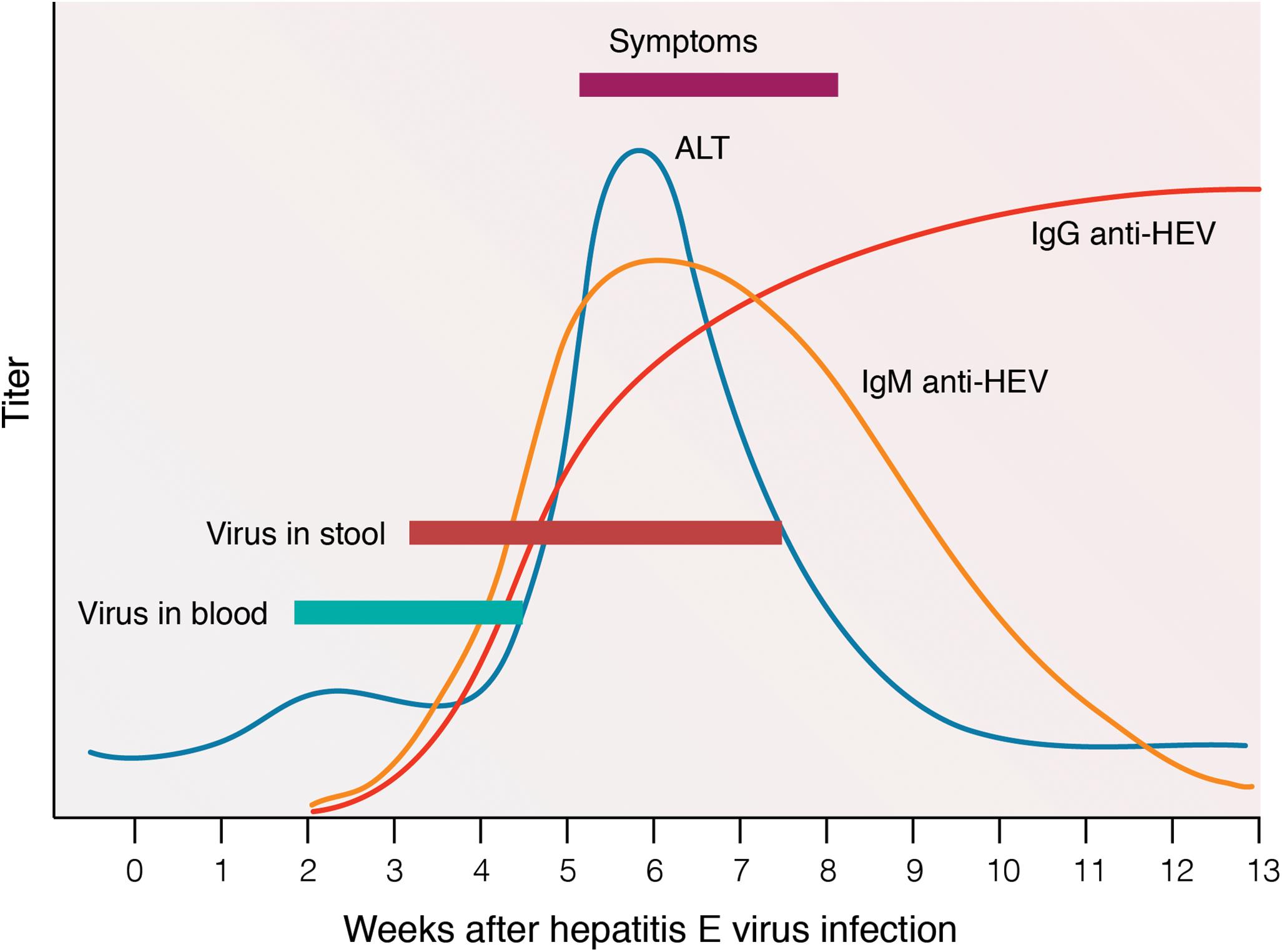 Virological markers of hepatitis E virus infection.