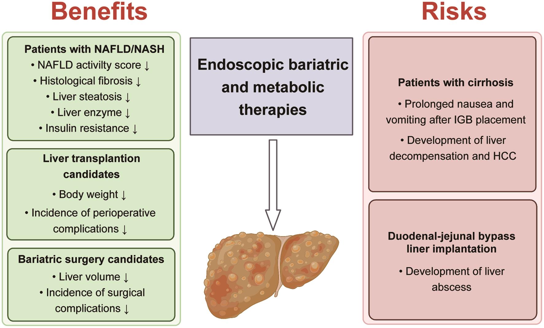 Benefits and associated risks of endoscopic bariatric and metabolic therapies for liver disease.
