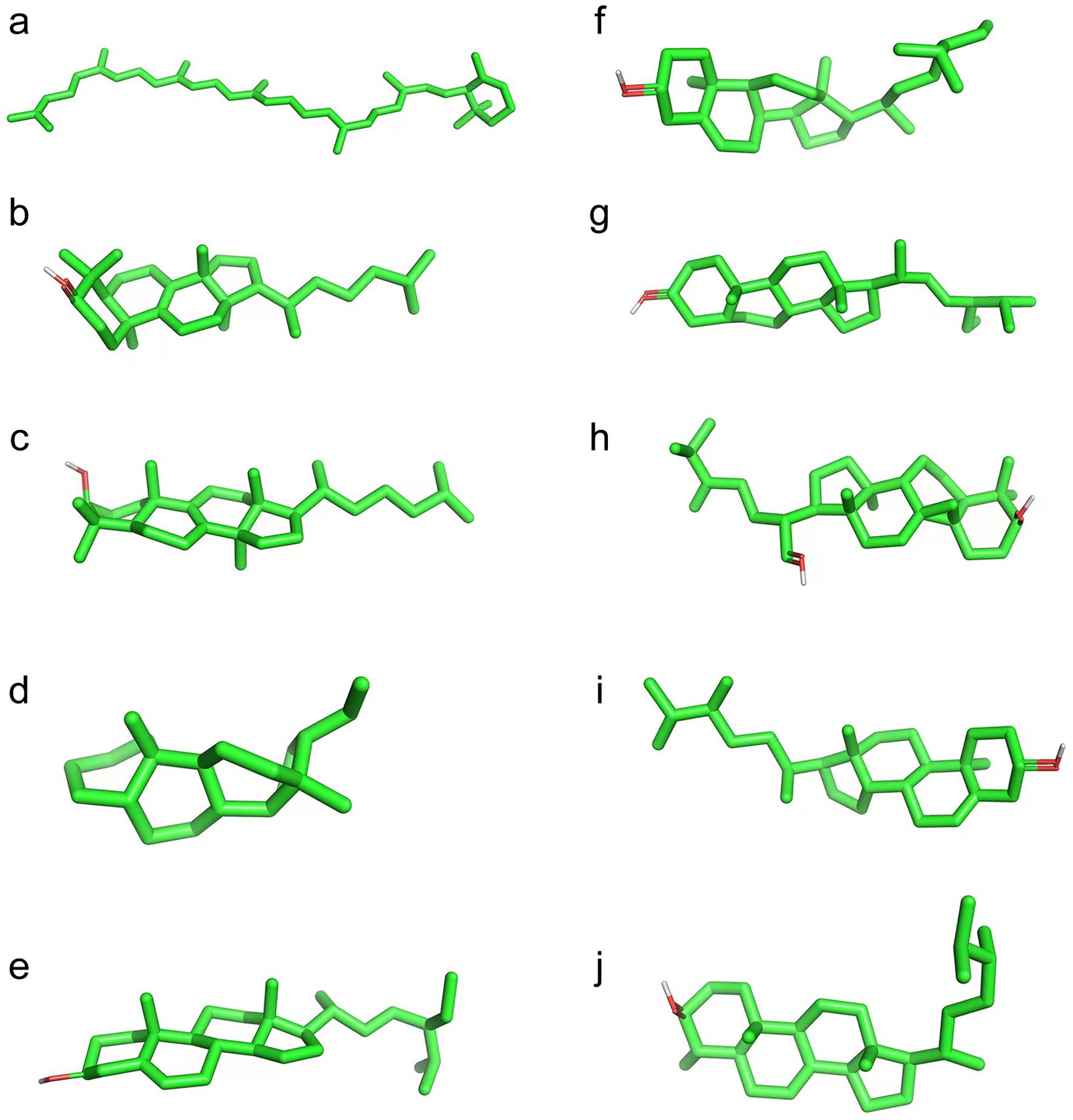Top 10 key active ingredient structures.