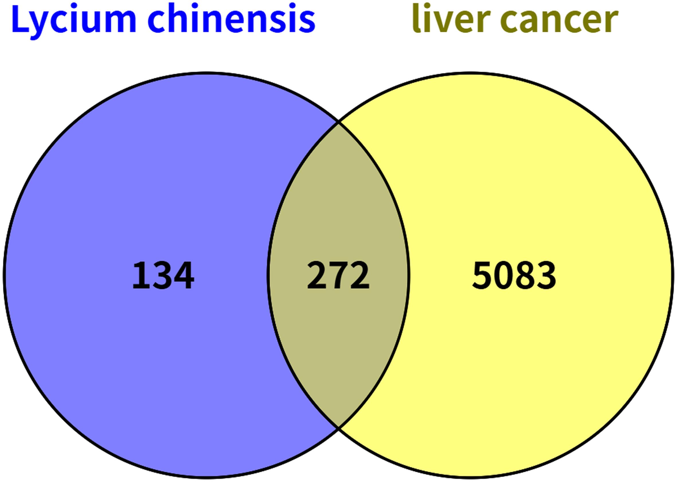 Wayne diagram of Lycium-liver cancer.