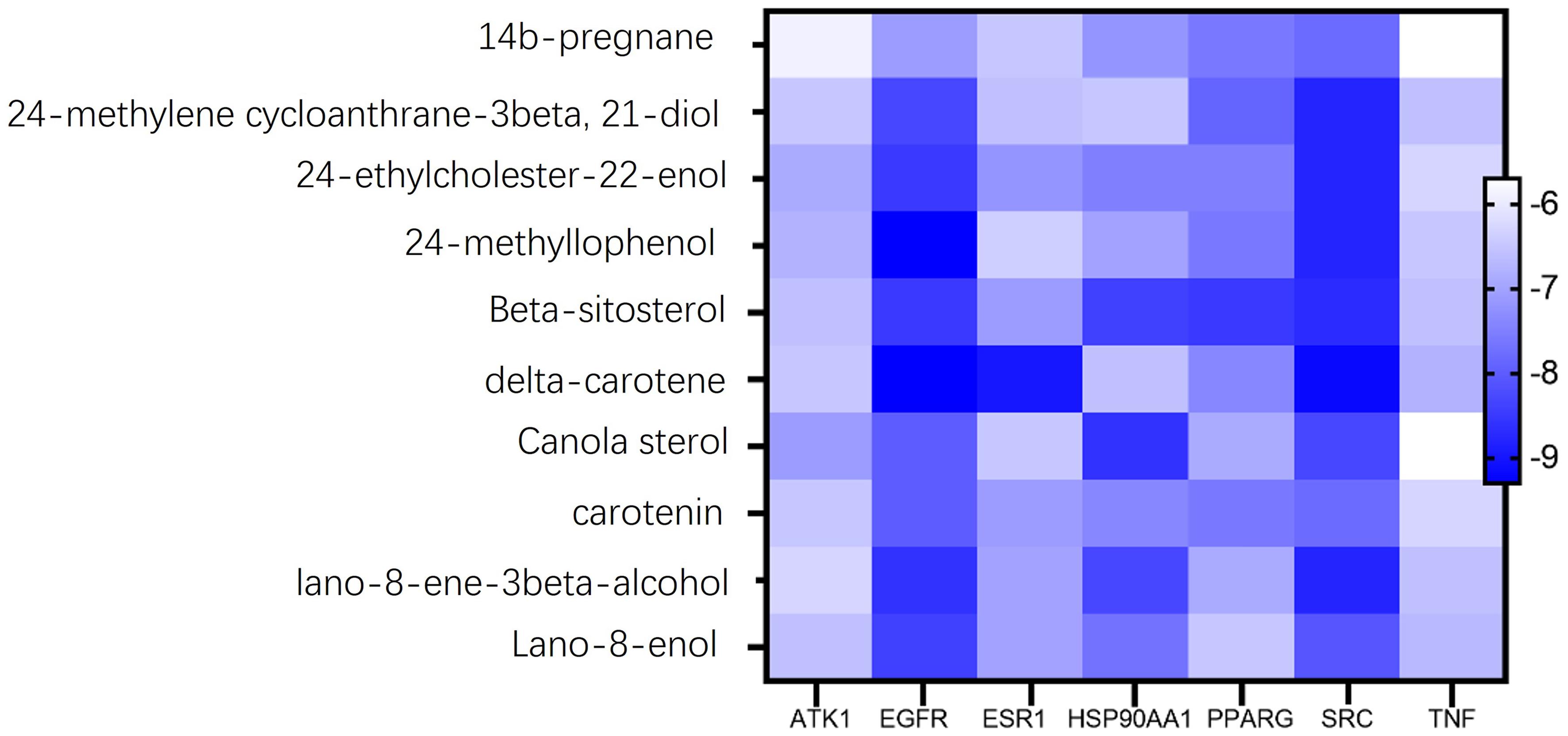 The docking results of key active ingredients and core target protein molecules.