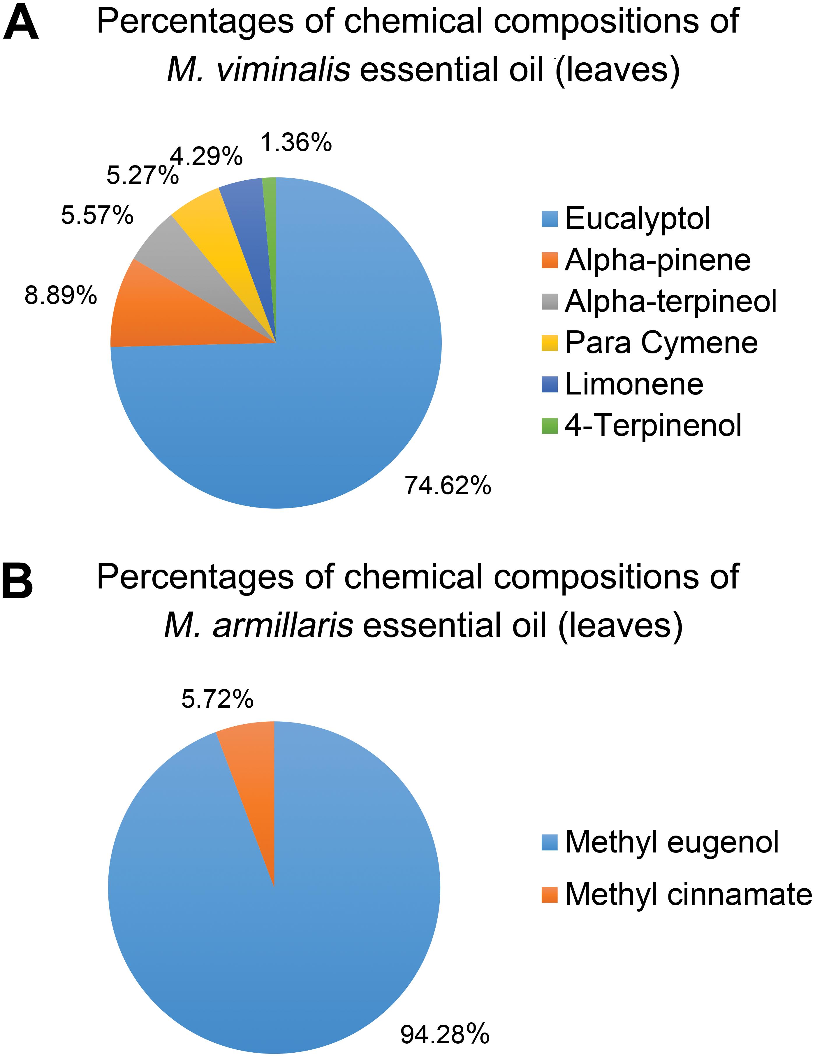 Percentages of chemical compositions of M. viminalis and M. armillaris essential oil (leaves).