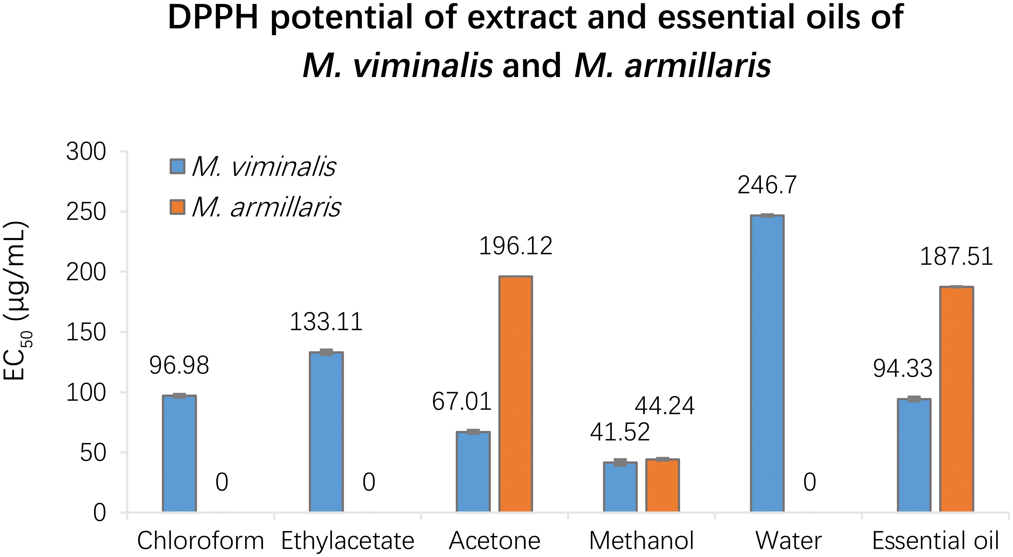 Free radical scavenging (DPPH) potential of extracts and essential oils of <italic>M. viminalisand M. armillaris.</italic>
