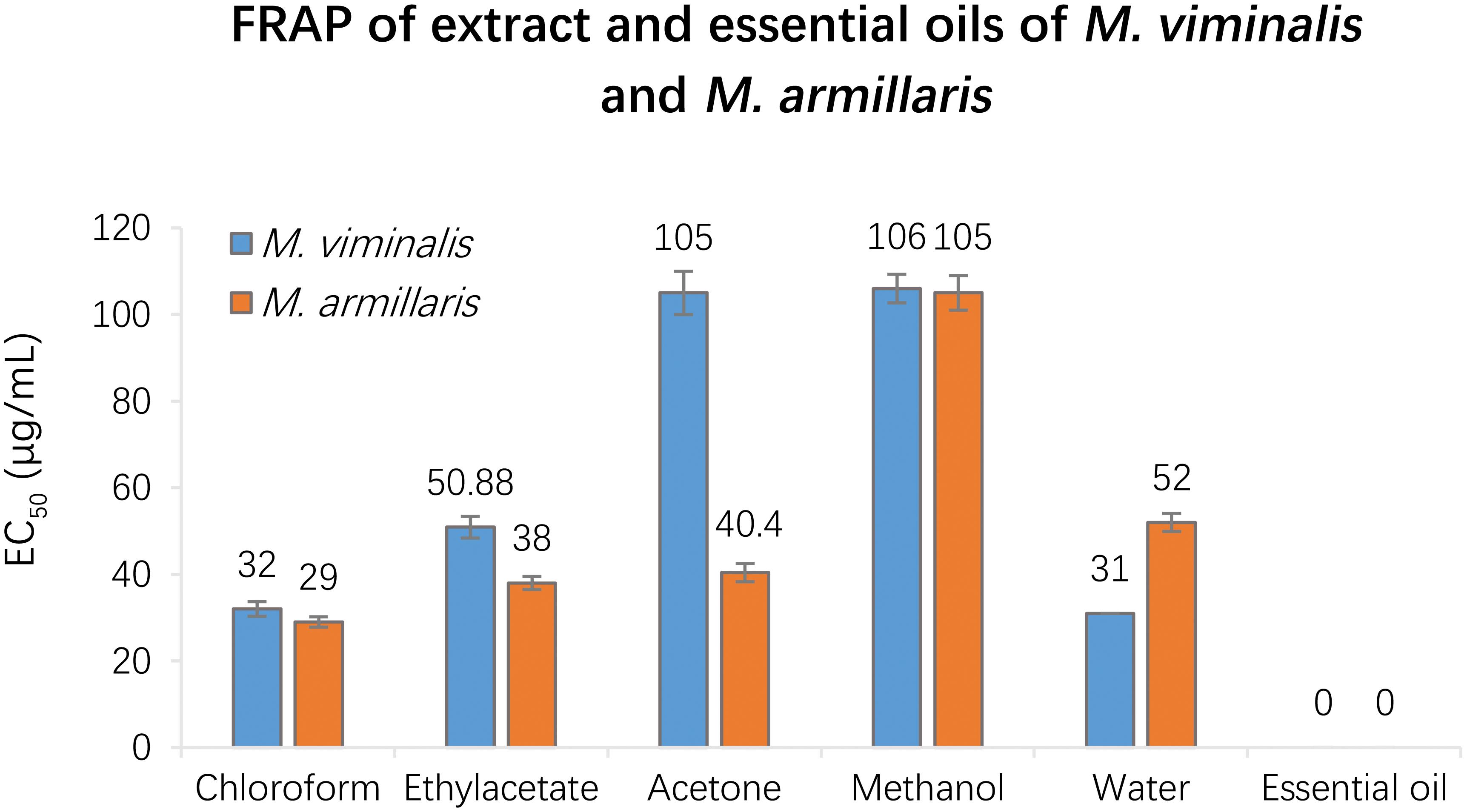 FRAP of extracts and essential oils of <italic>M. viminalis and M. armillaris.</italic>