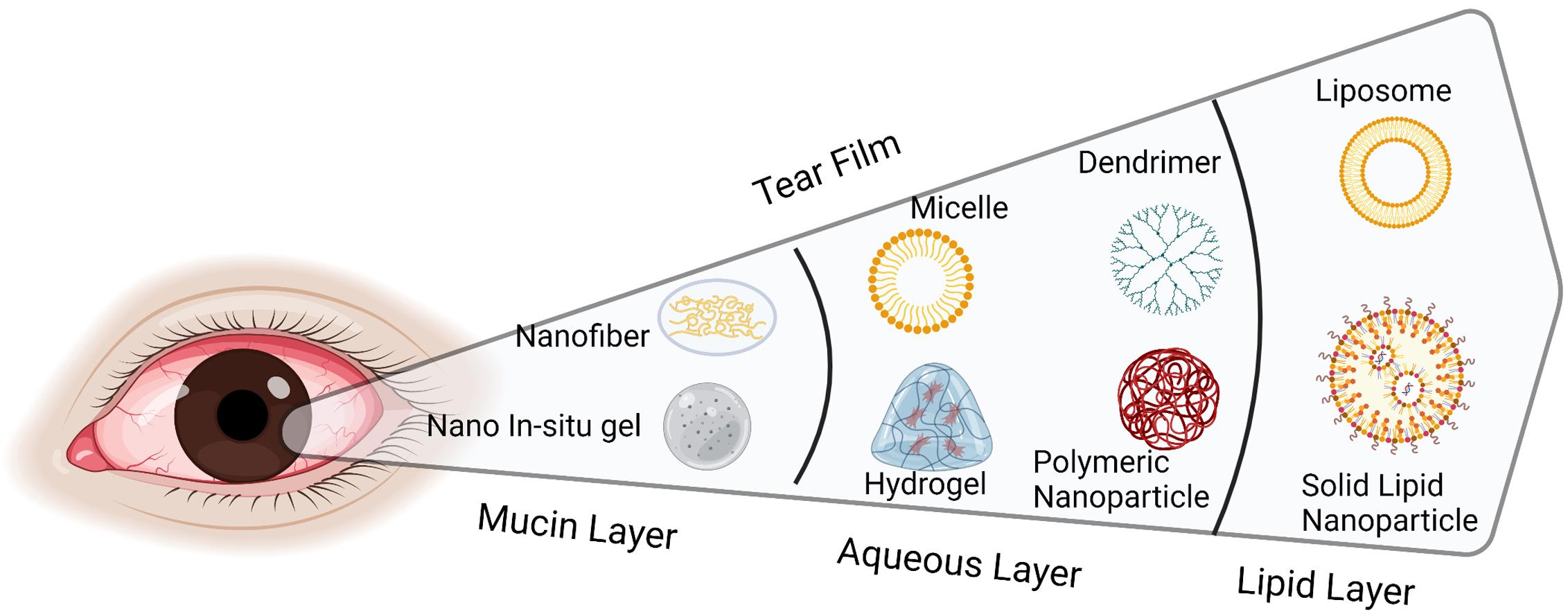 Different nanotechnology drug delivery systems applied to the three distinct layers of the tear film.