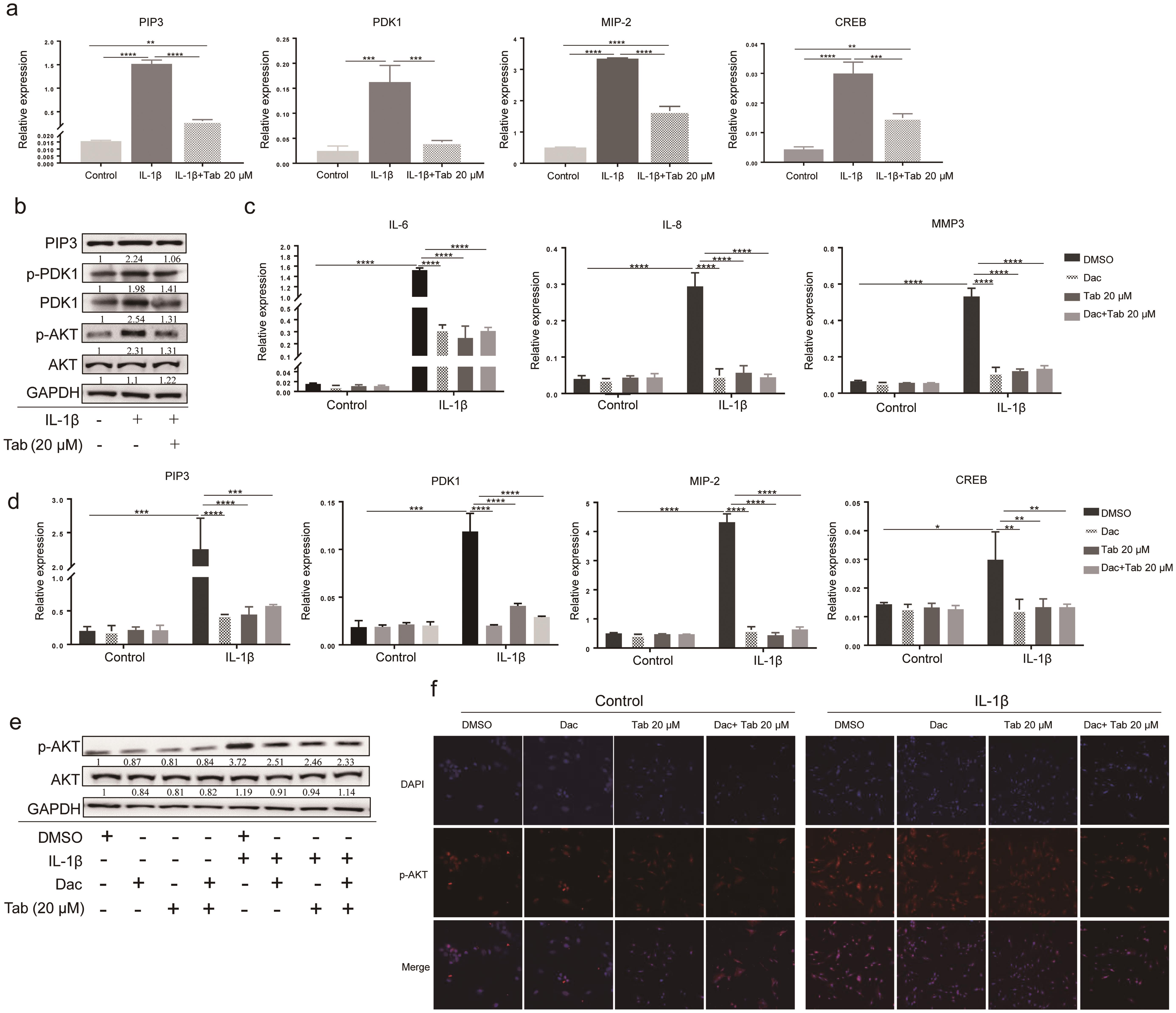 Tab protects against RA progression via PI3K signaling.