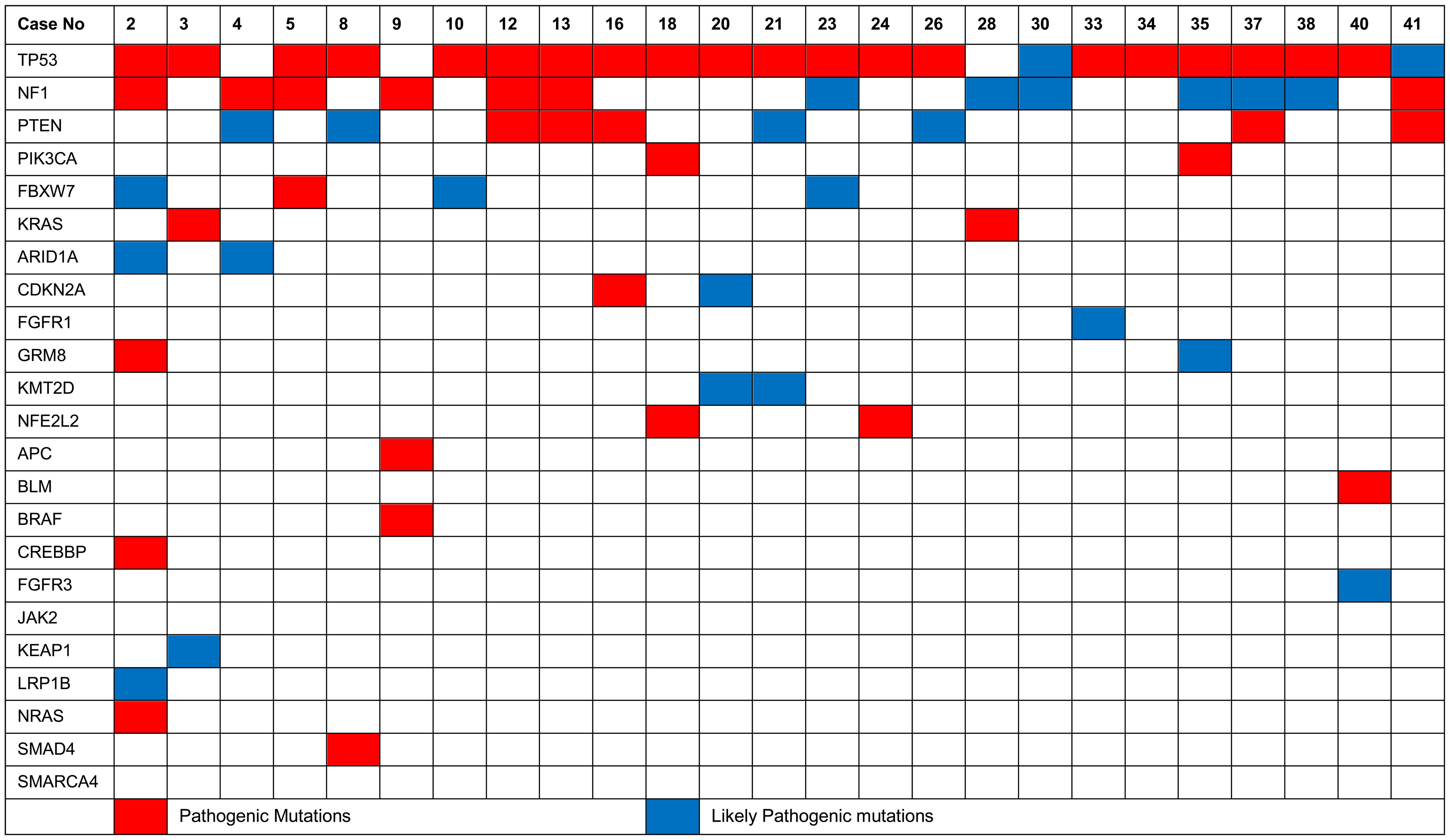 Mutation distribution in patients with more than one mutation detected.