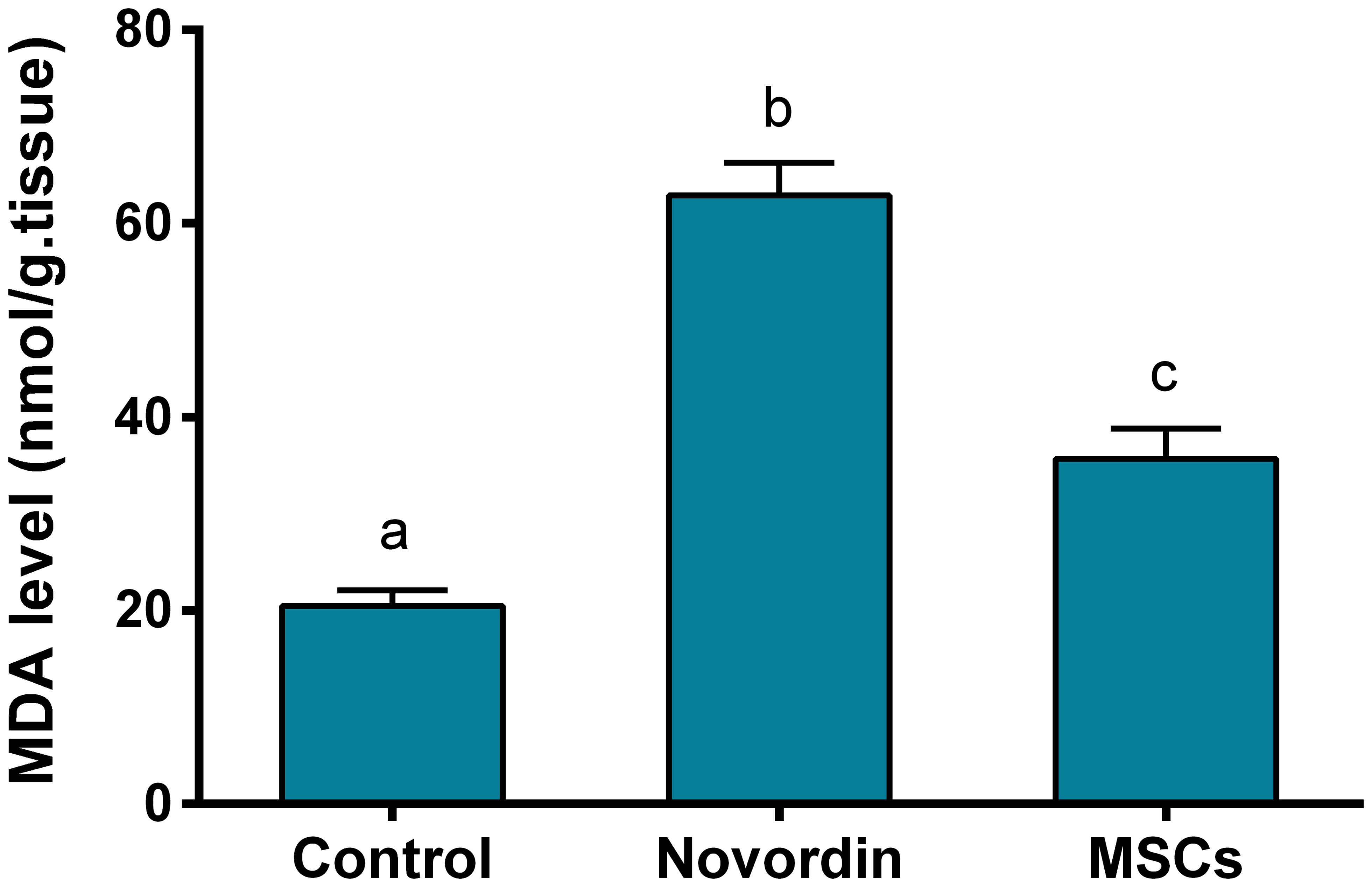 Impact of MSCs on the hepatic MDA level post-novordin intoxication.