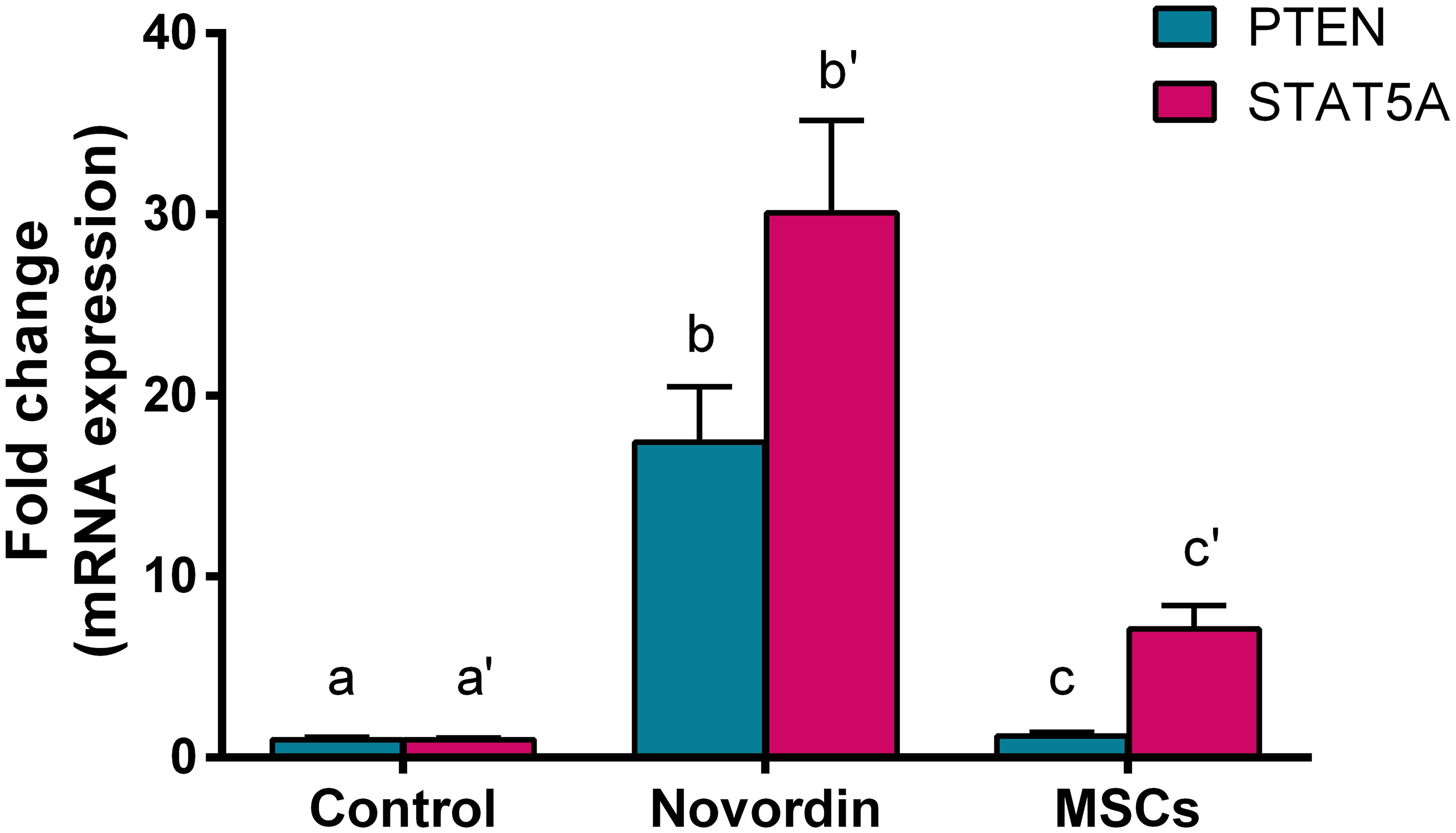 Impact of MSCs on the hepatic mRNA gene expression of PTEN and STAT5A post-novordin intoxication.