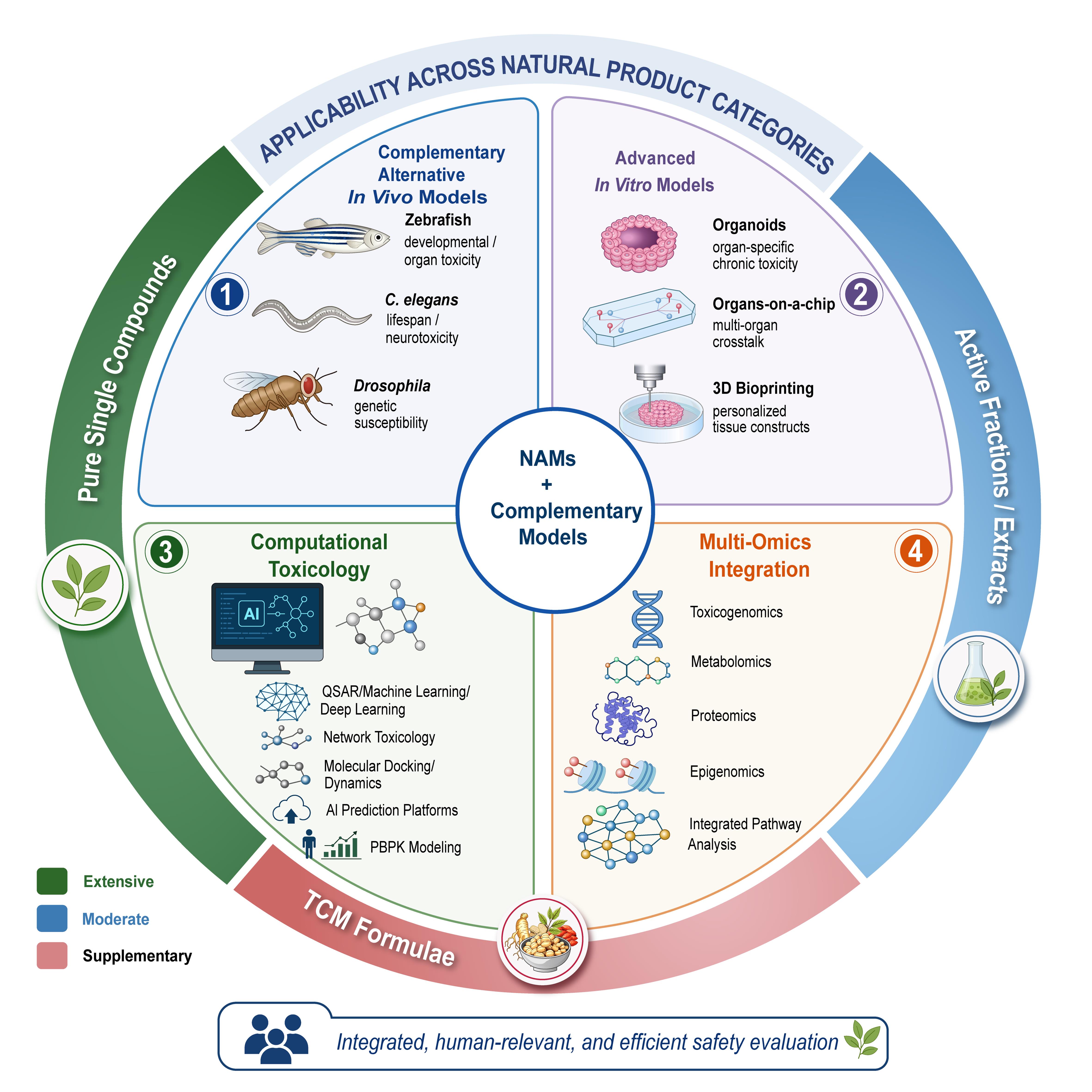 Integrated framework of NAMs and complementary alternative models for natural product safety evaluation.