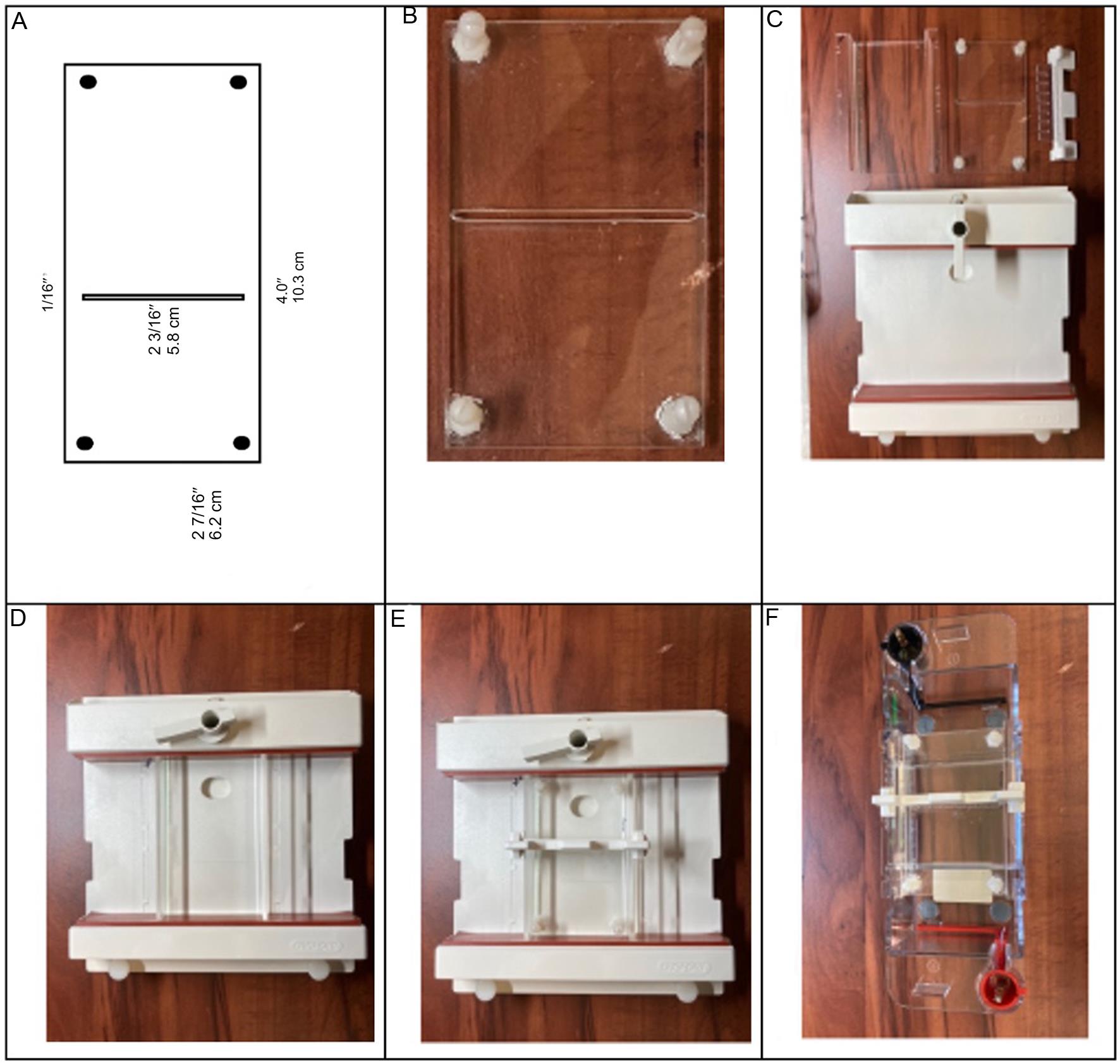 Photographs of the components designed to adapt a Bio-Rad Mini-Sub Cell GT gel to perform HPAGE.