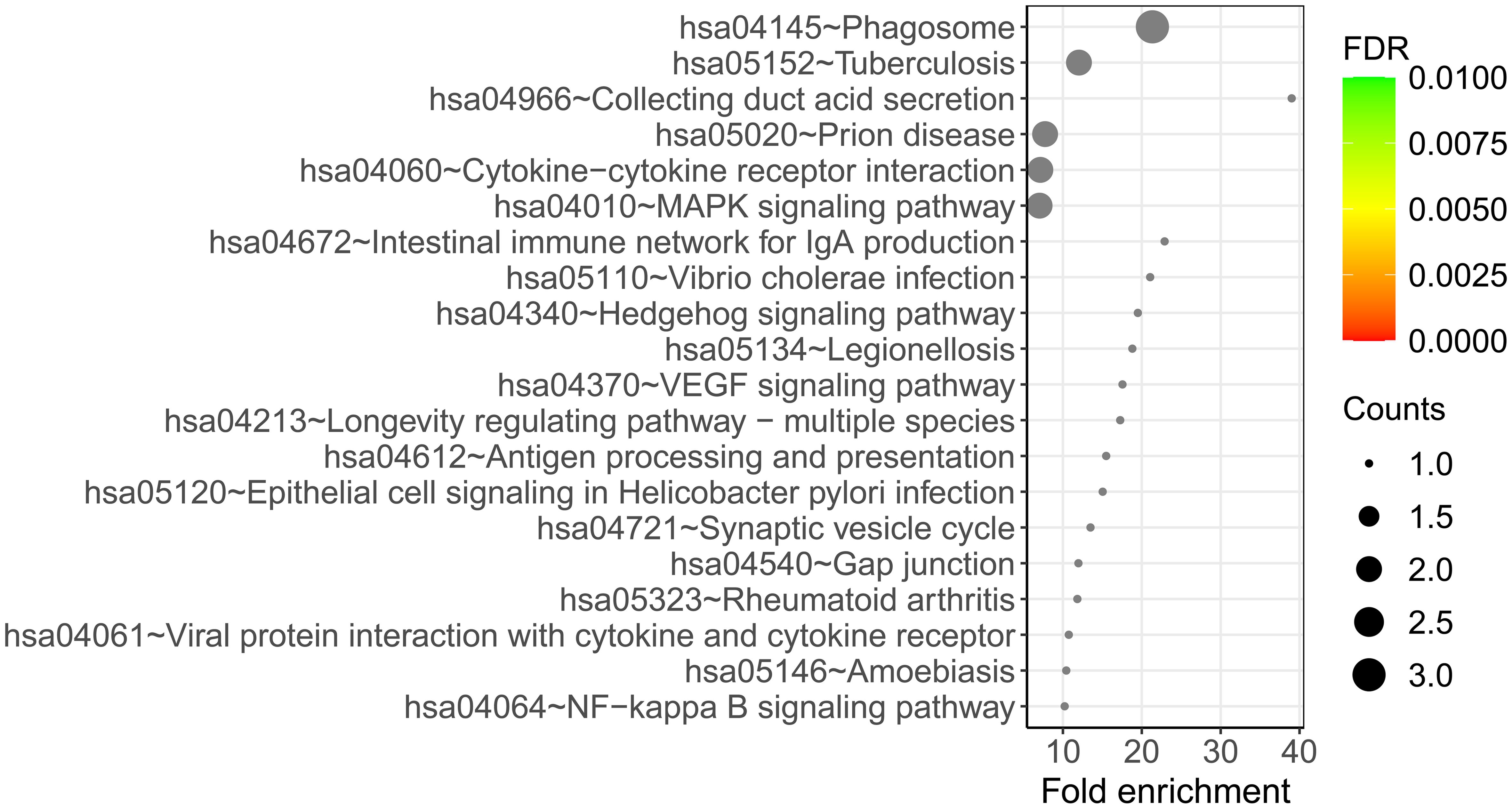 Enrichment Analysis via KEGG: Functional annotation of dysregulated genes providing insights into the most relevant pathways or biological functions involved in AD.