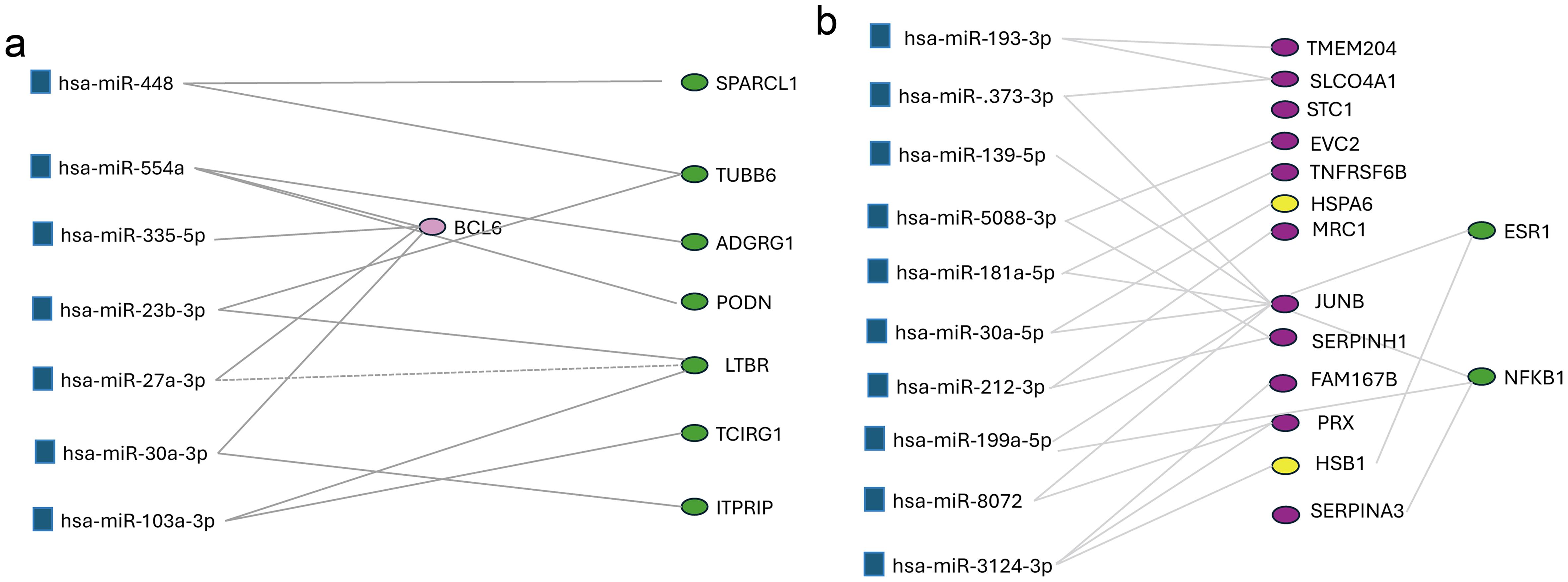 miRNA-target interaction plot of the dysregulated genes.