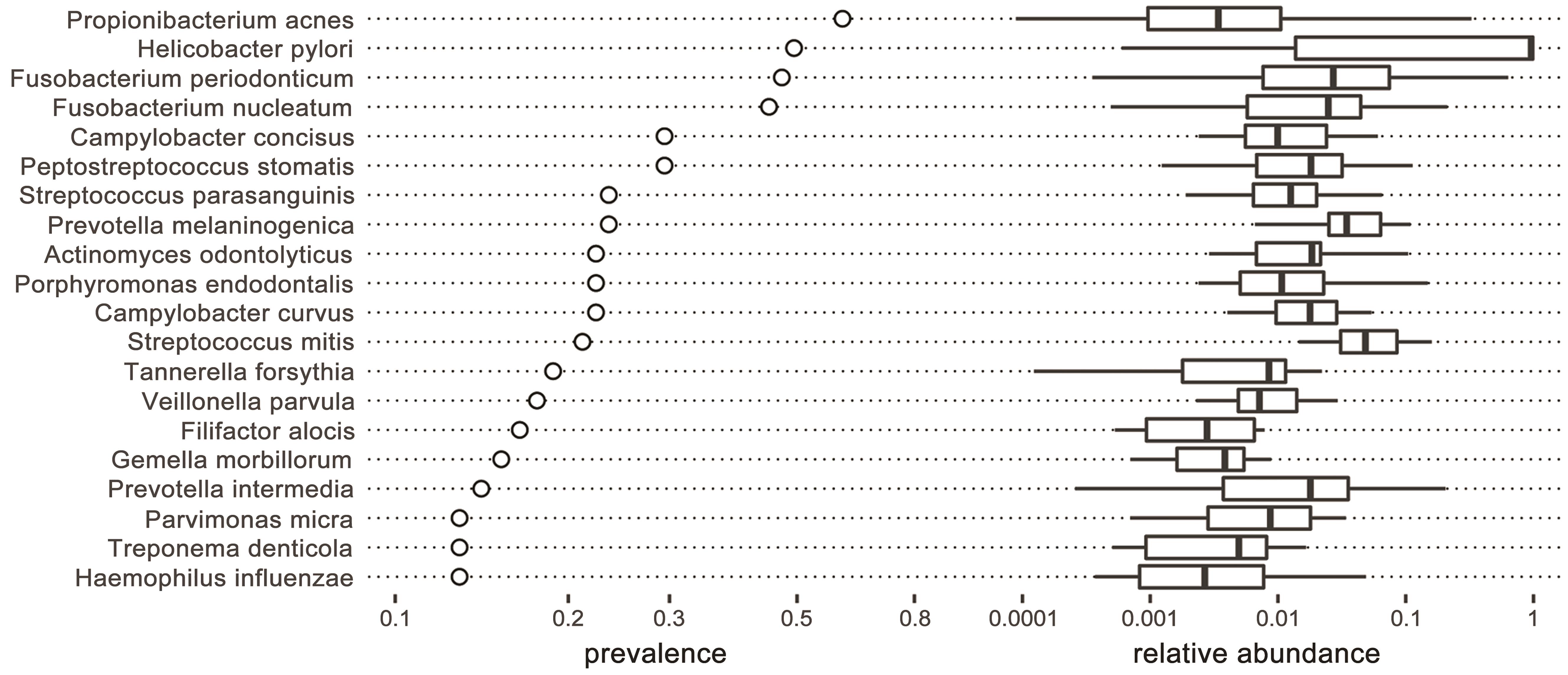 Distribution of prevalence and relative abundance of pathogens in gastric biopsies of healthy individuals.