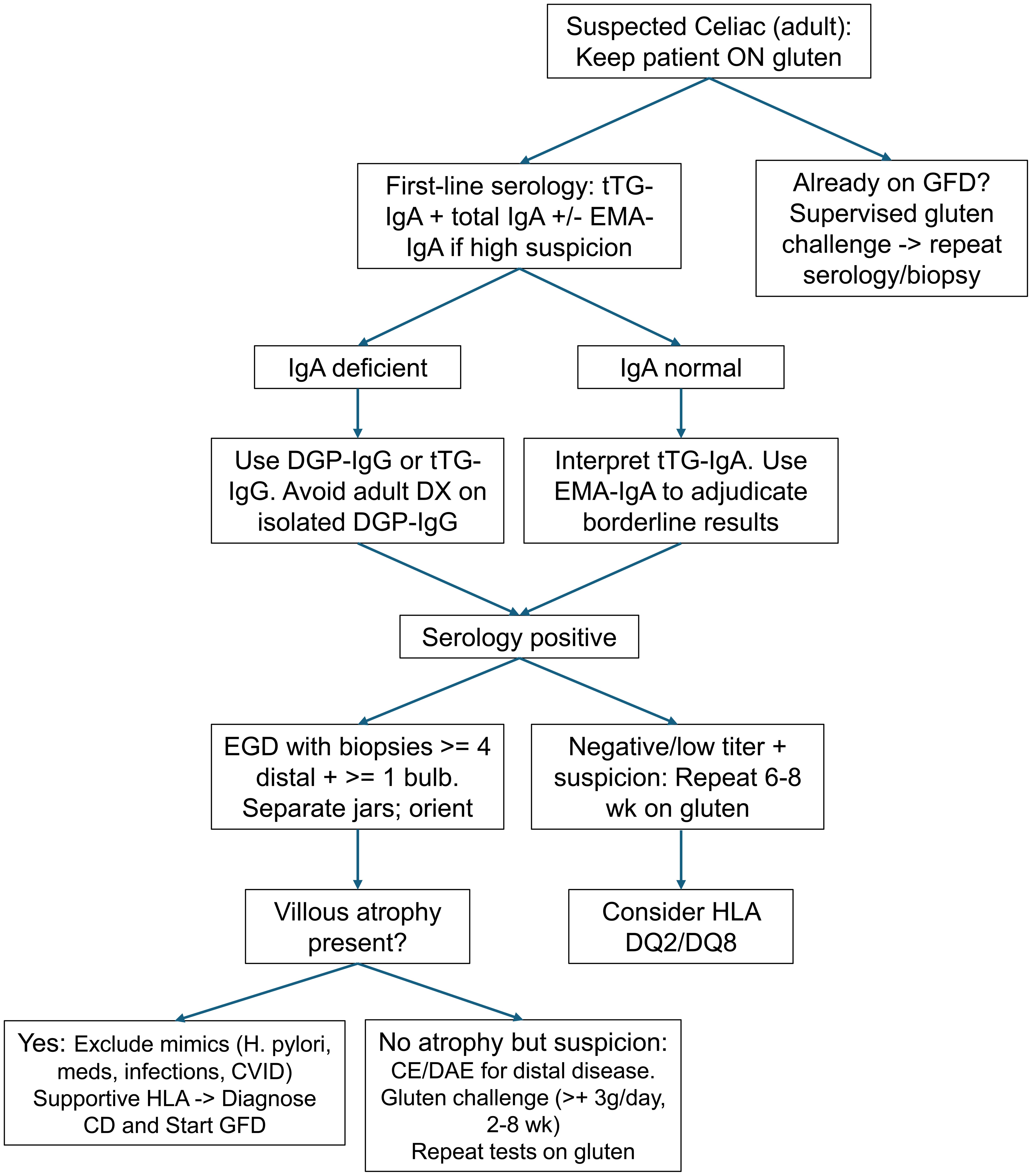 Adult diagnostic algorithm for suspected celiac disease.