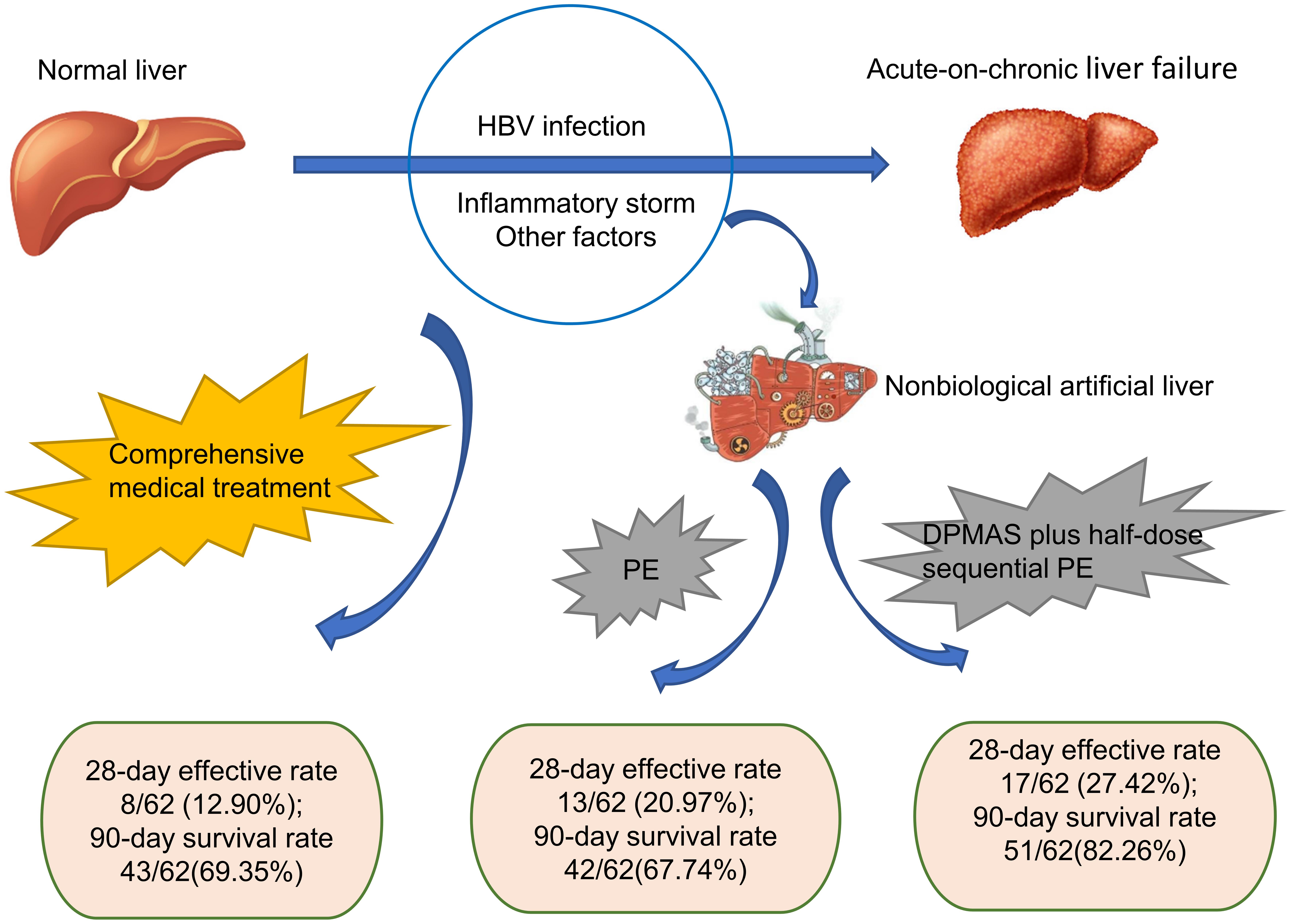 Efficacy And Economic Evaluation Of Nonbiological Artificial Liver ...