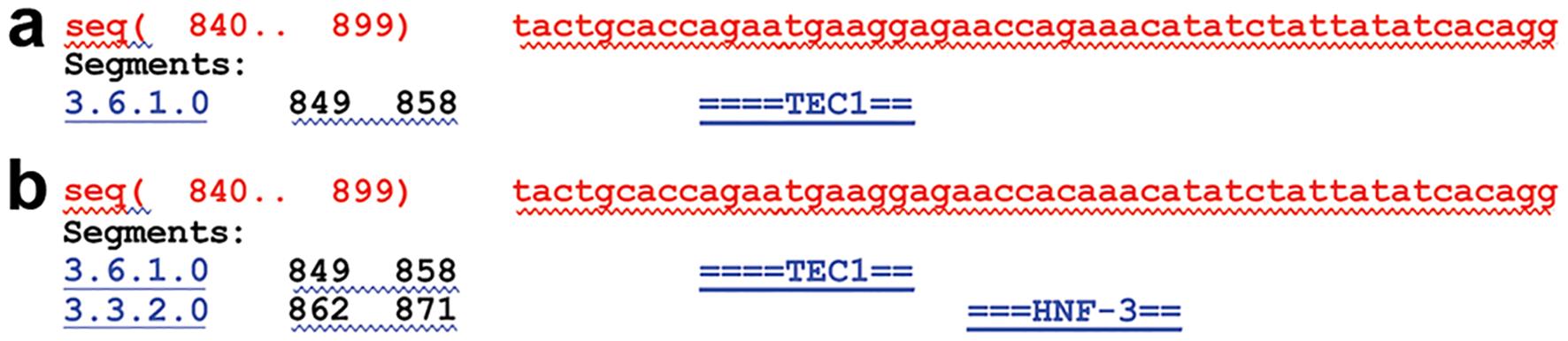 Transcription factors binding to the C allele and G allele of <italic>HSP90α</italic> Q488H.