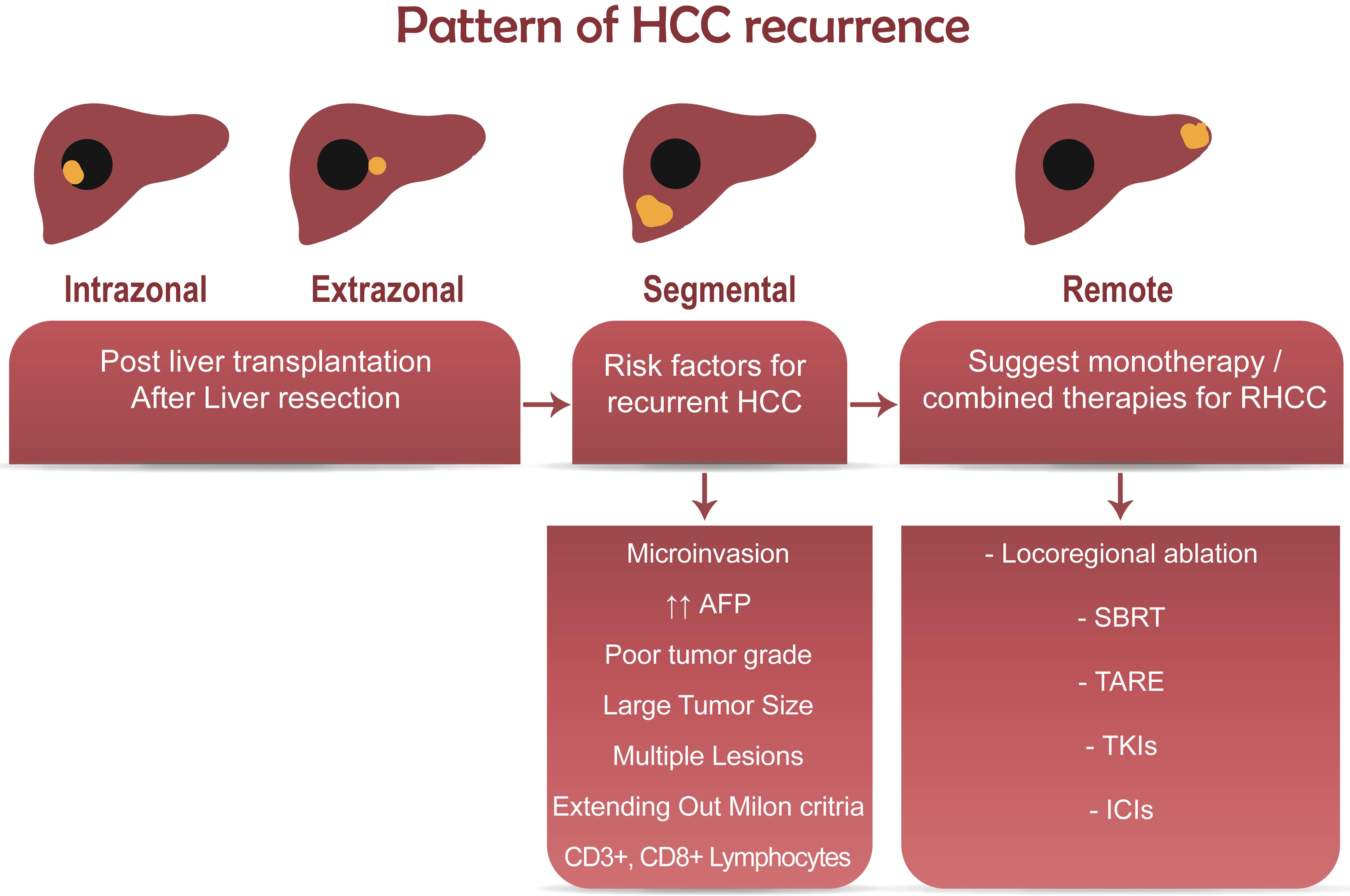 The patterns of HCC recurrence, risk factors and suggested therapies.