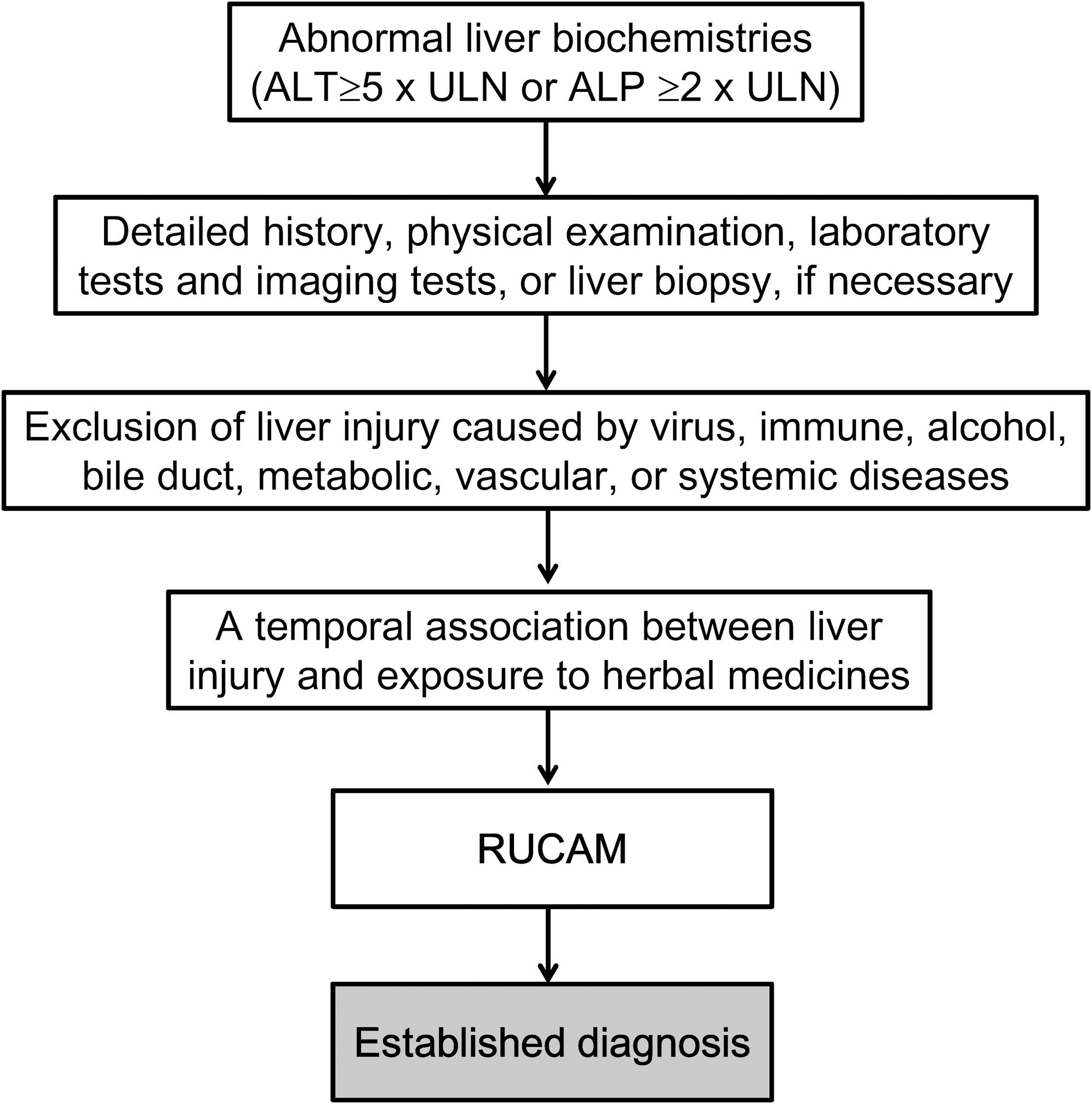 <bold>Flowchart depicting the diagnosis strategy of herb induced liver injury, adapted from the Chinese guidelines for the diagnosis and management of herb-induced liver injury.</bold>Abbreviations: ALP, alkaline phosphatase; ALT, alanine aminotransferase; RUCAM, Roussel Uclaf Causality Assessment Method; ULN, upper limit of normal.