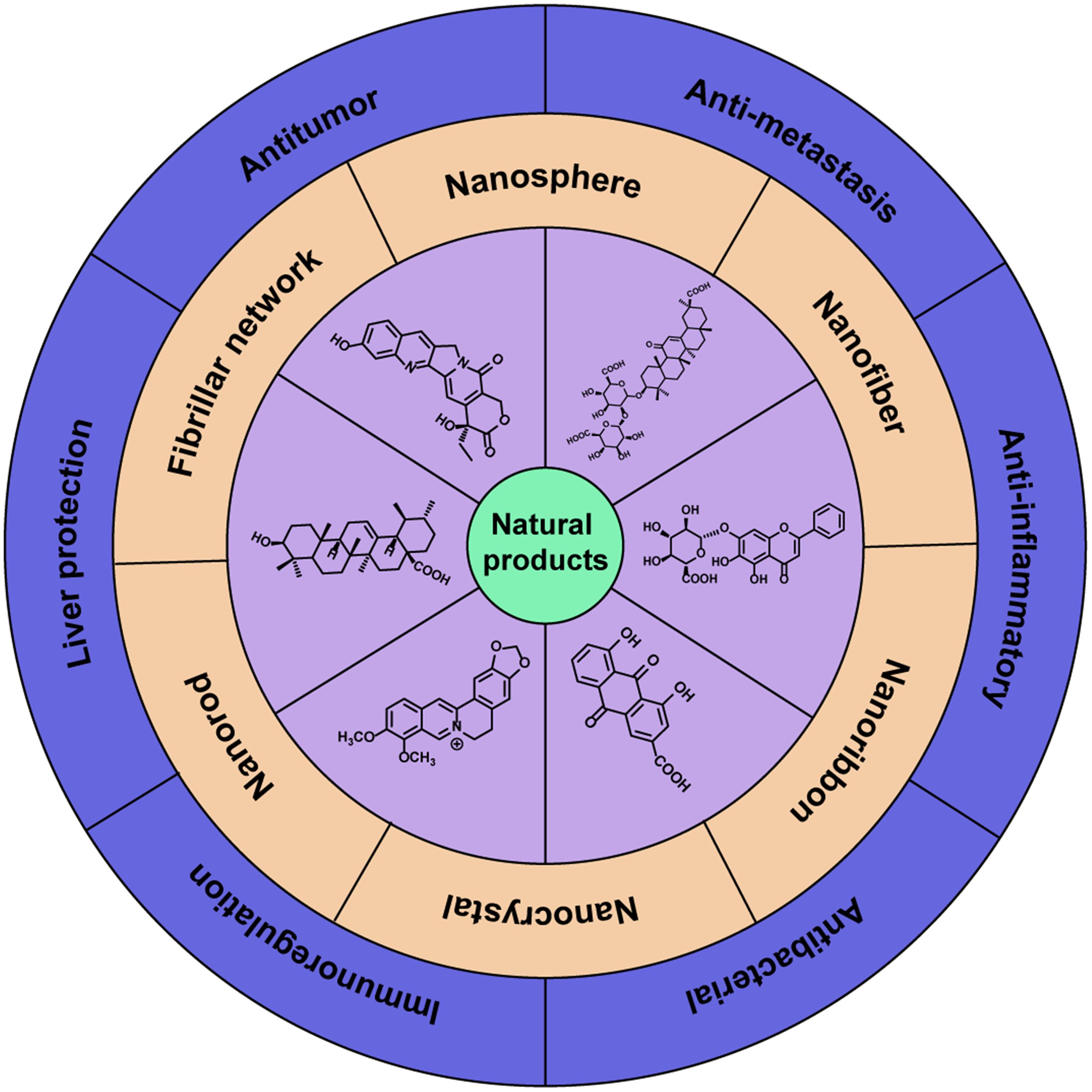 Representative natural products, the self-assembled nanostructures and bioactivities.