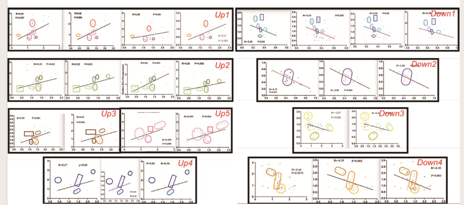  相关分析9个“种子”图片示意图（Up1-5和Down1-4）。
