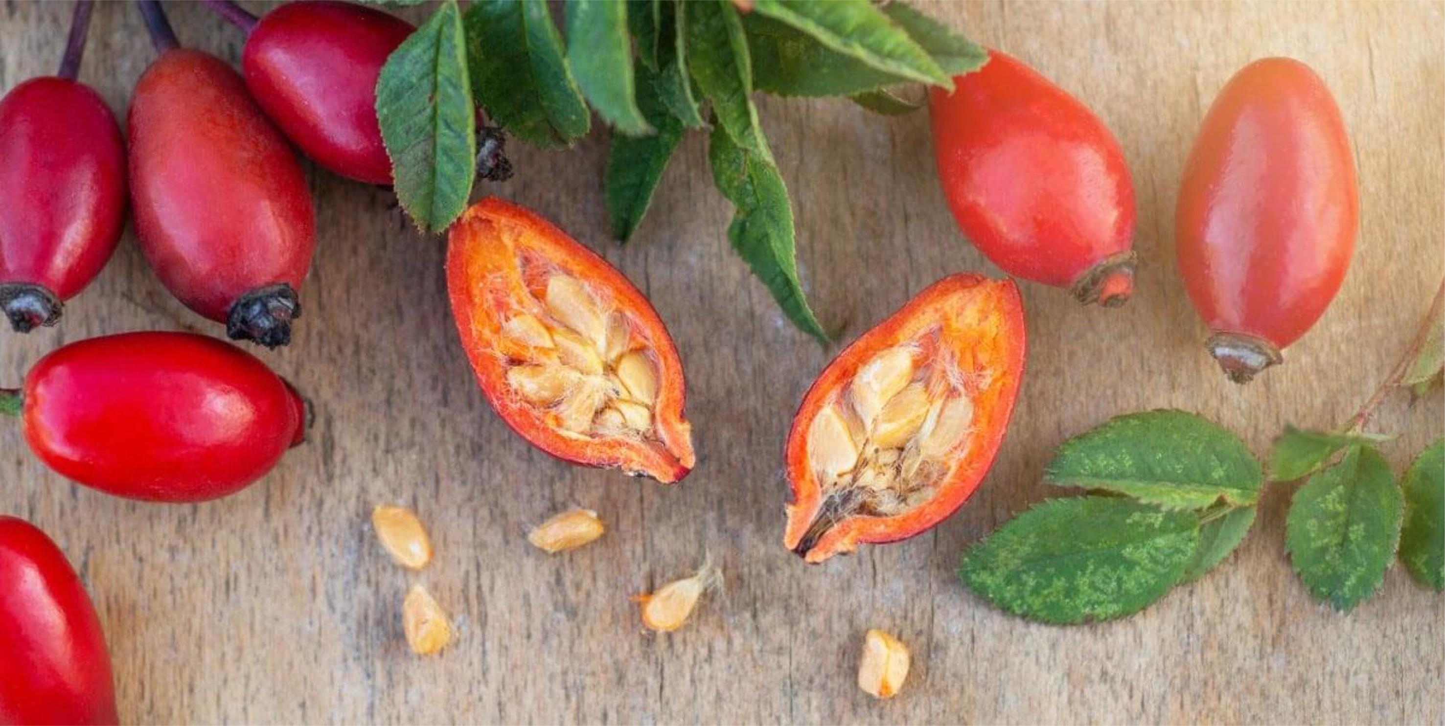 The pseudo fruits of <italic>Rosa canina</italic> as a whole and cut in halves.