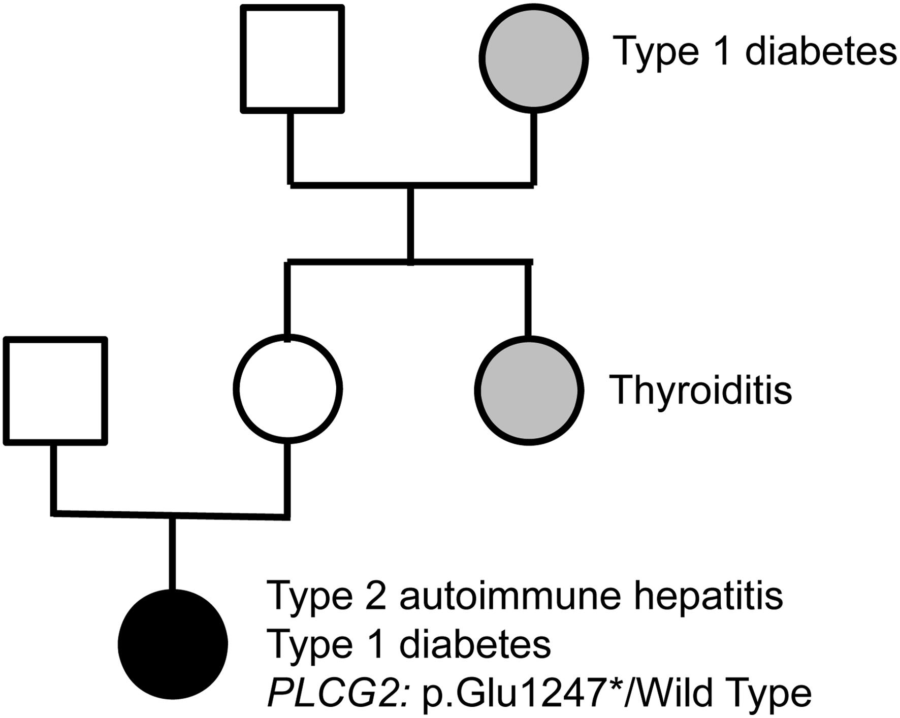 Pedigree of the family.