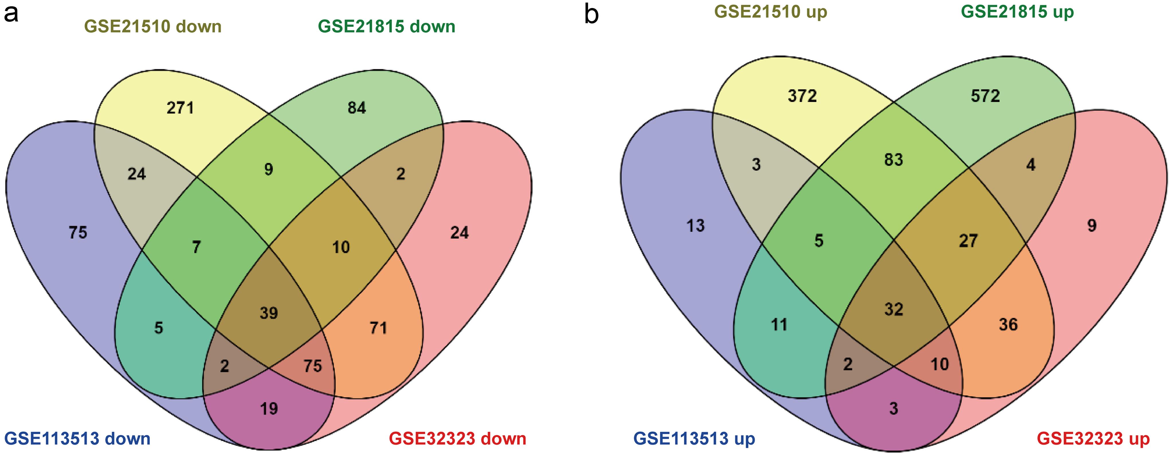 Venn Diagram of common down-regulated and up-regulated DEGs from four different datasets.