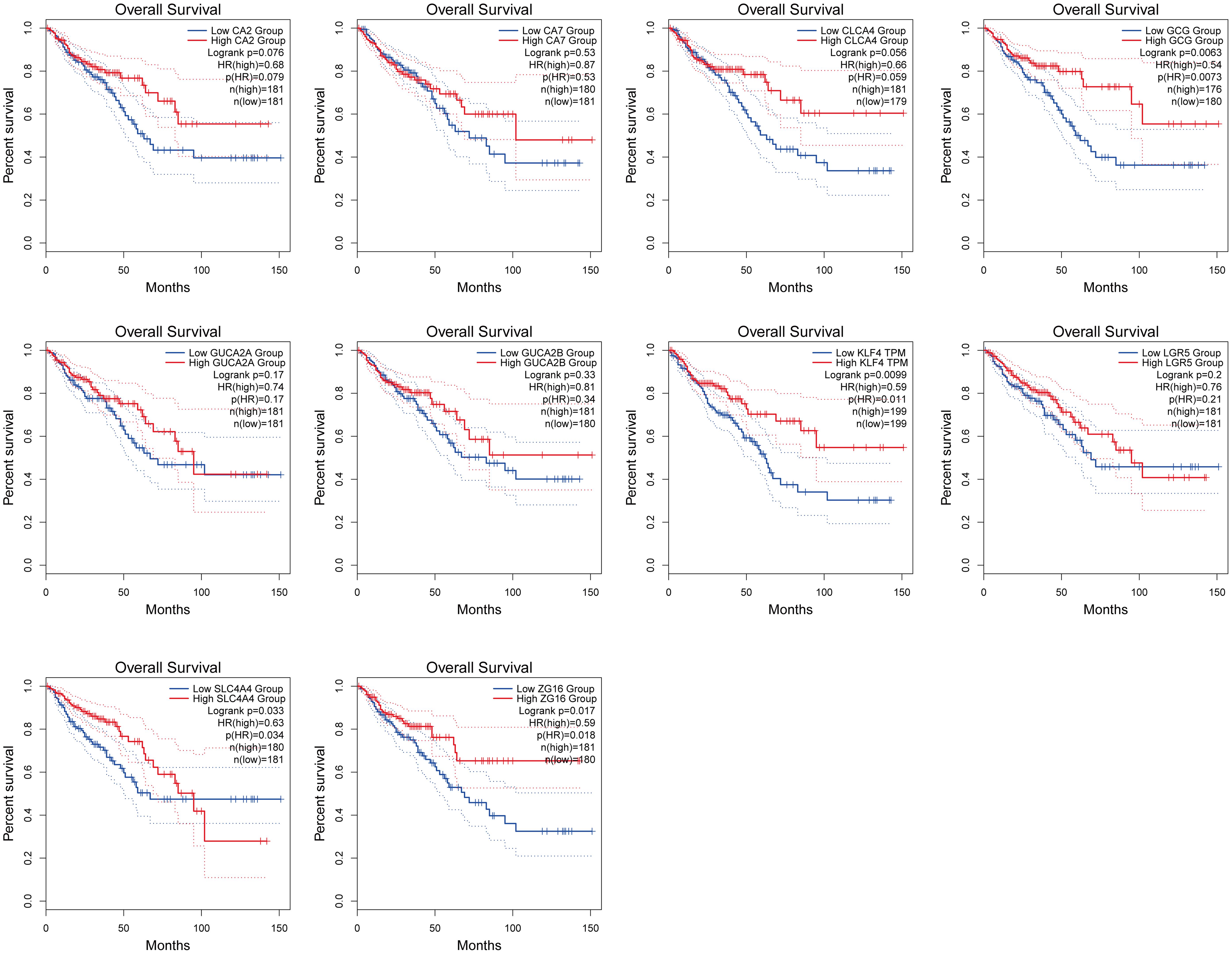 Overall survival analysis of 10 hub genes in colorectal cancer patients.