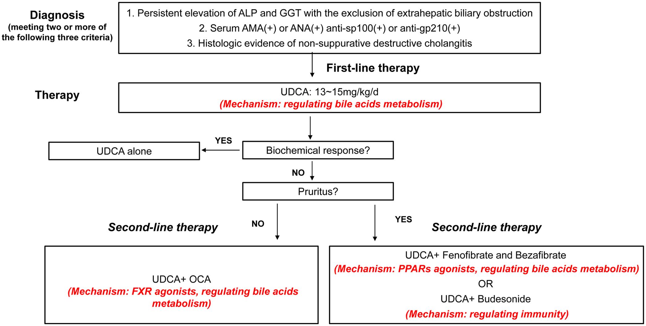 Diagnosis and treatment strategy of PBC.
